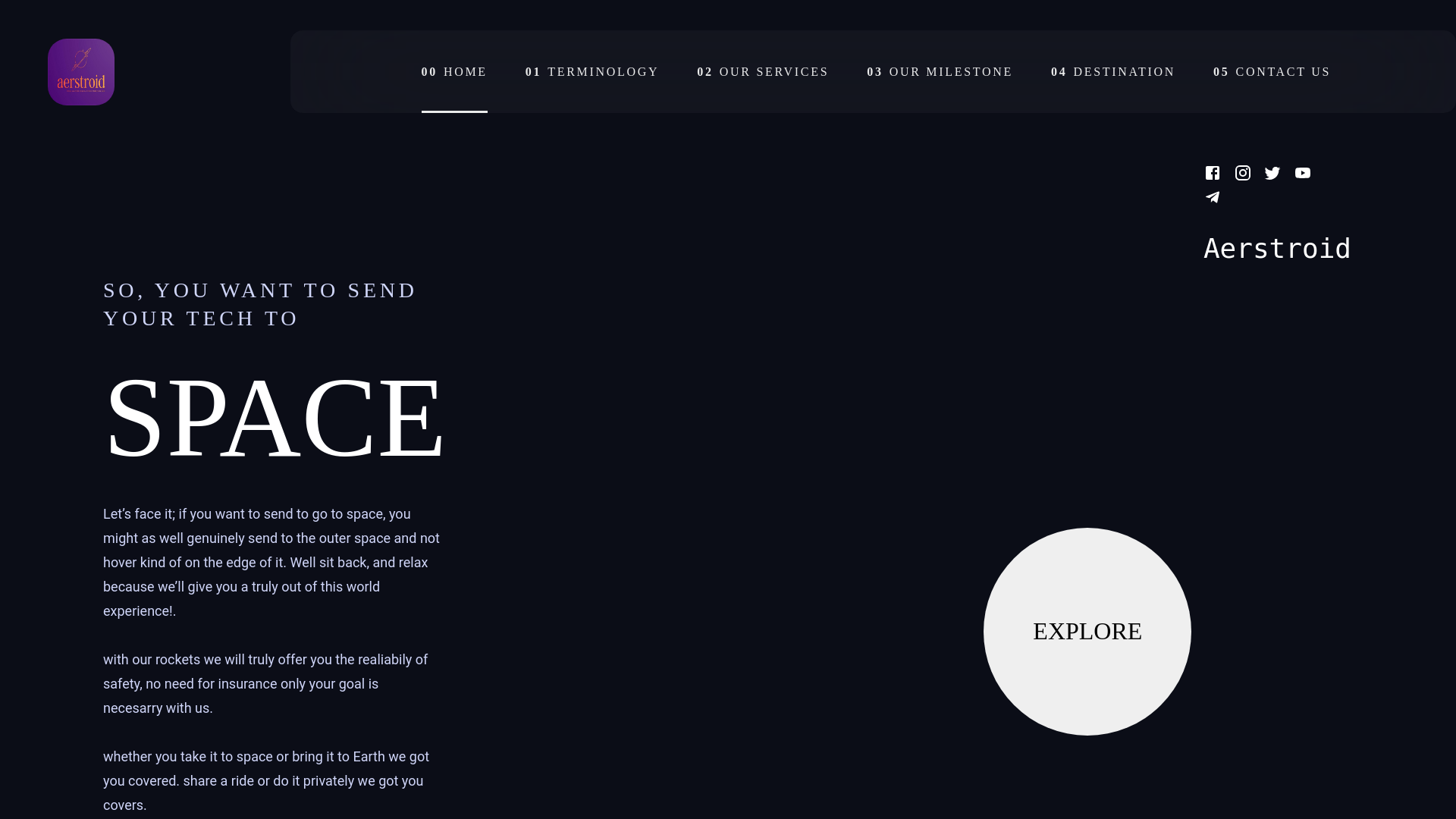 website screenshot of https://aerstroid.co.za