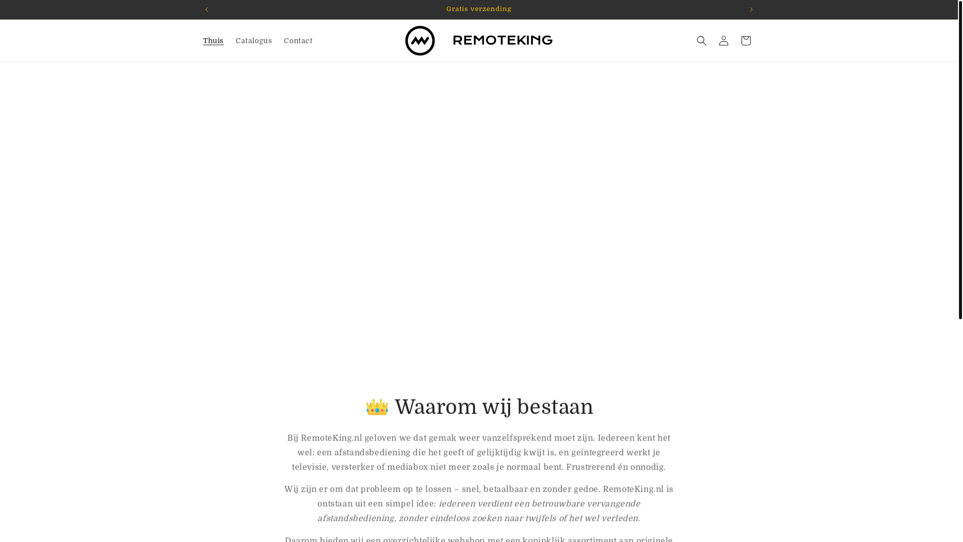 website screenshot of https://remoteking.nl/