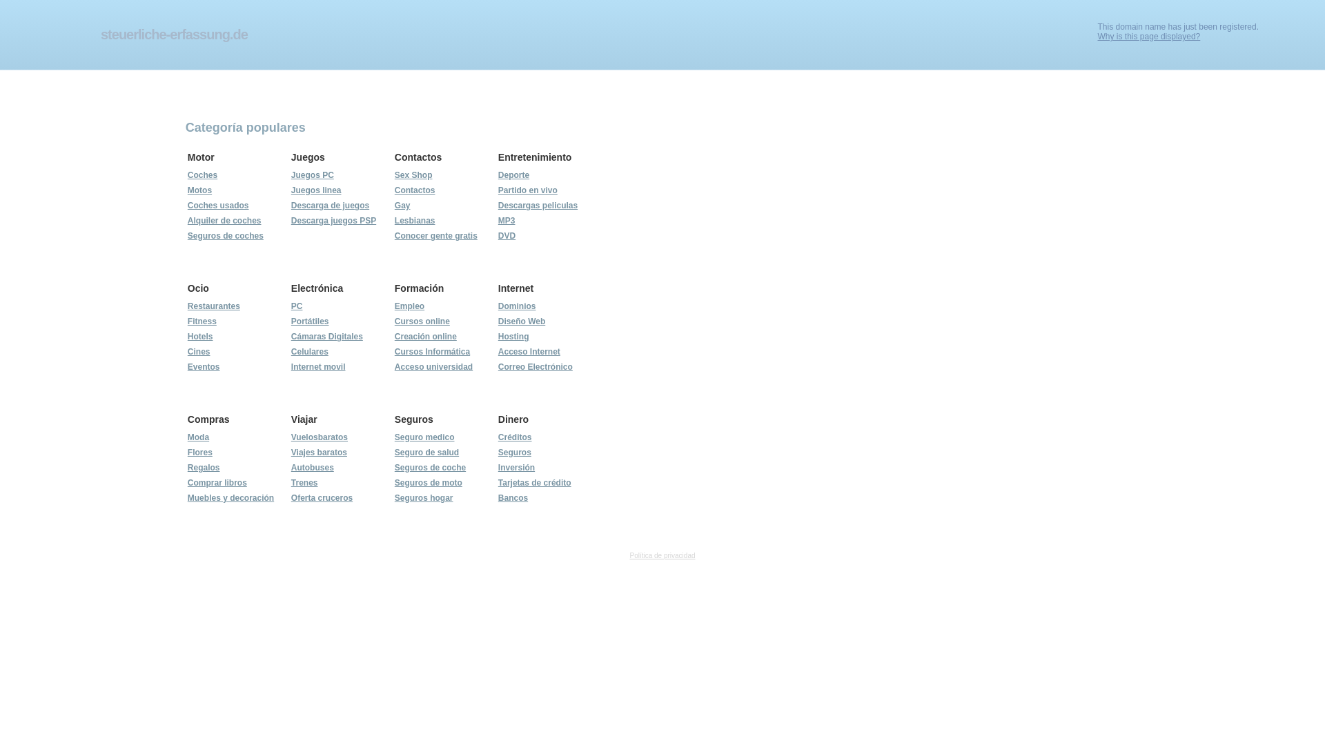 website screenshot of https://steuerliche-erfassung.de/