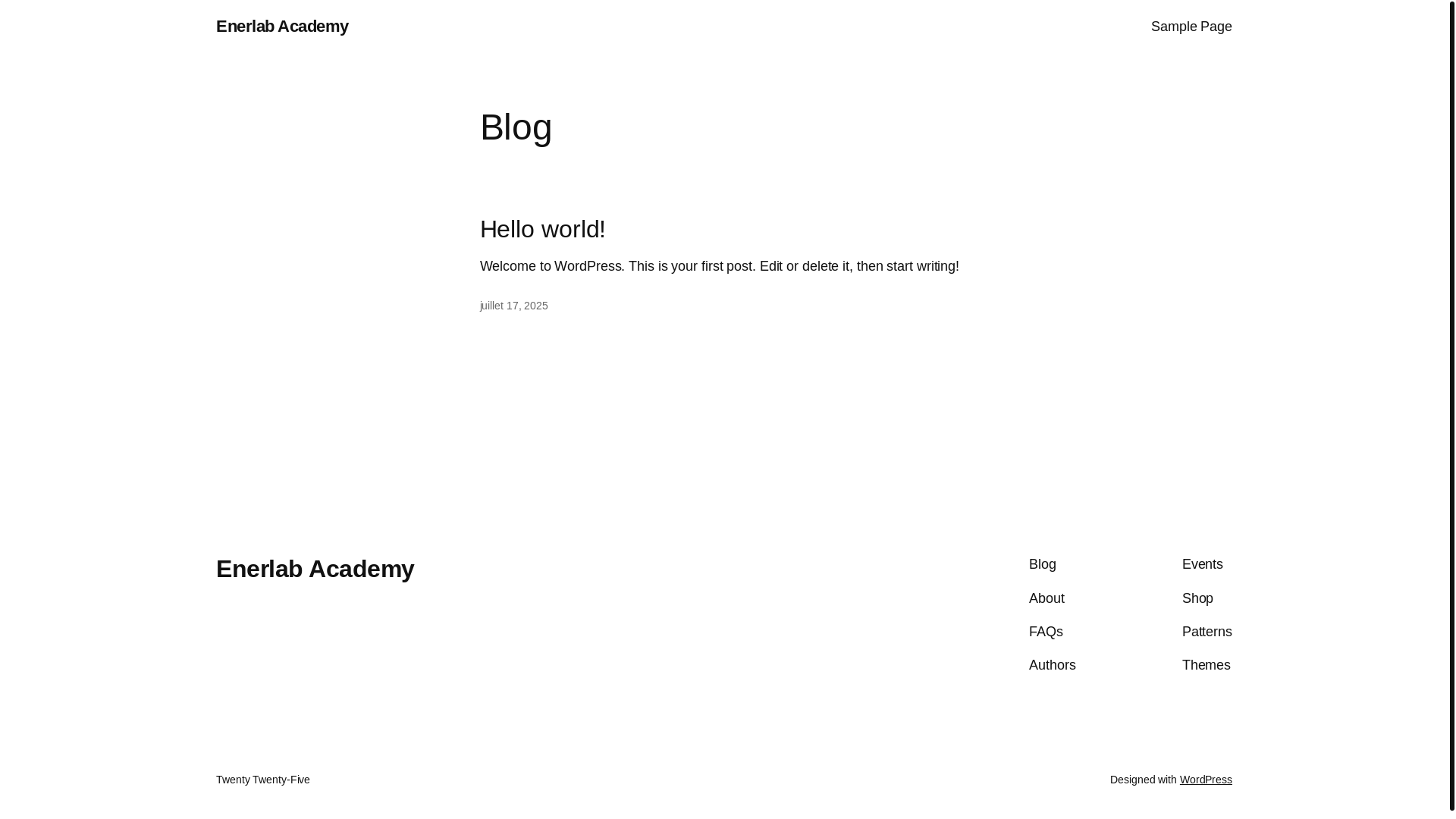 website screenshot of https://enerlabacademy.fr/