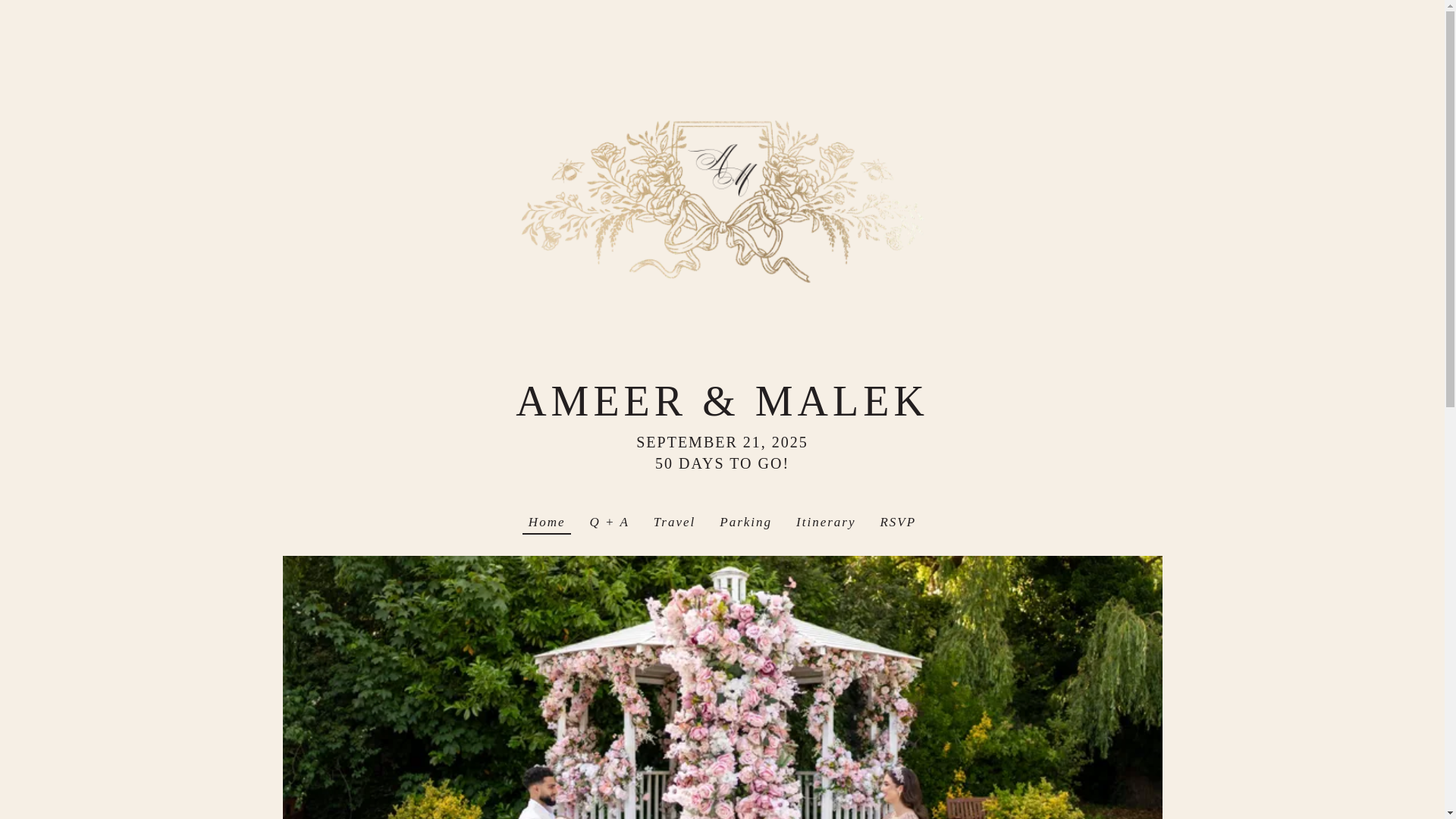 website screenshot of https://ameerandmalek.com/