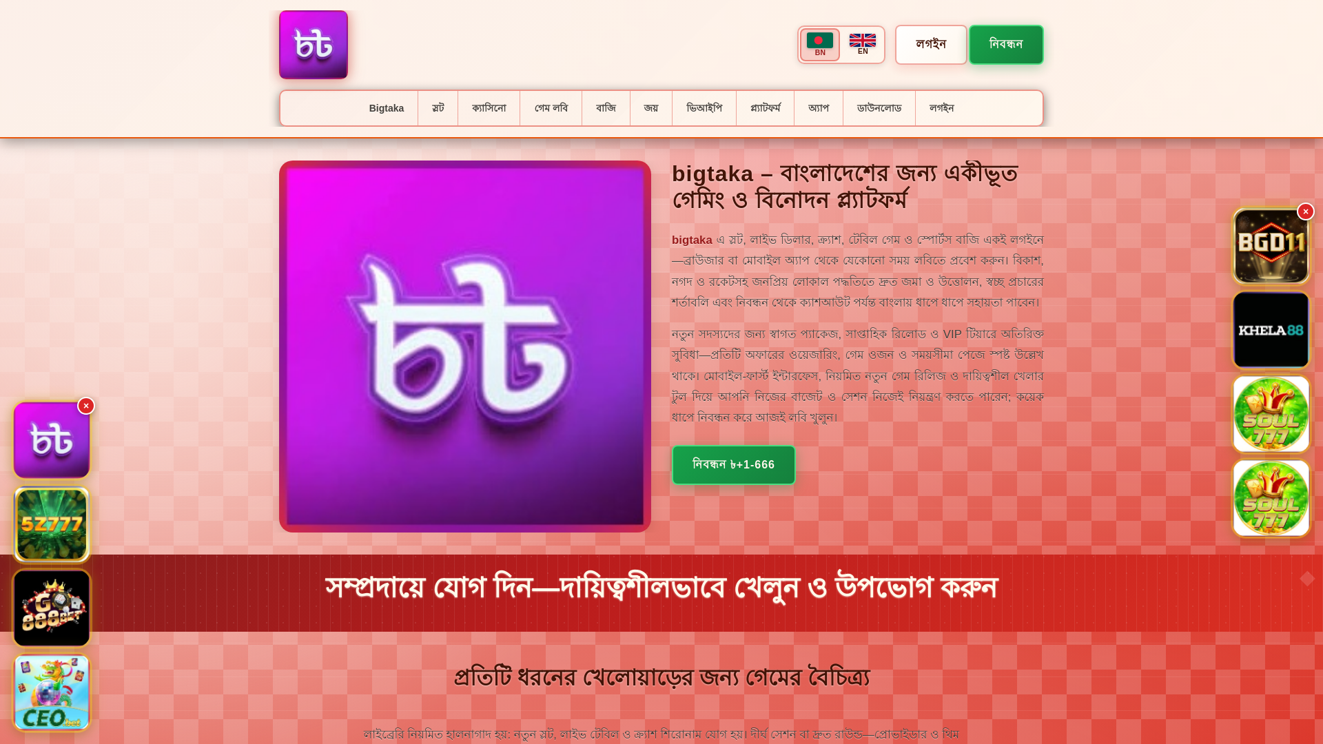 website screenshot of https://bigtakatin.com/