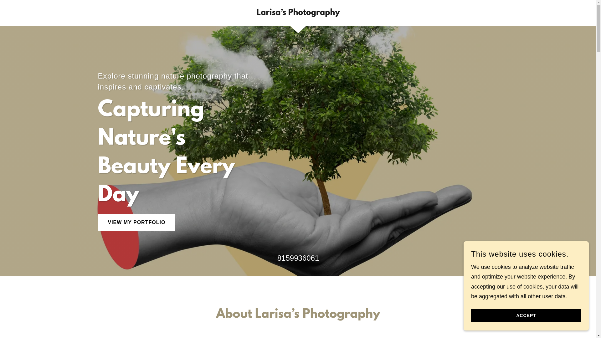 website screenshot of https://larisasarverphotohraphy.com/