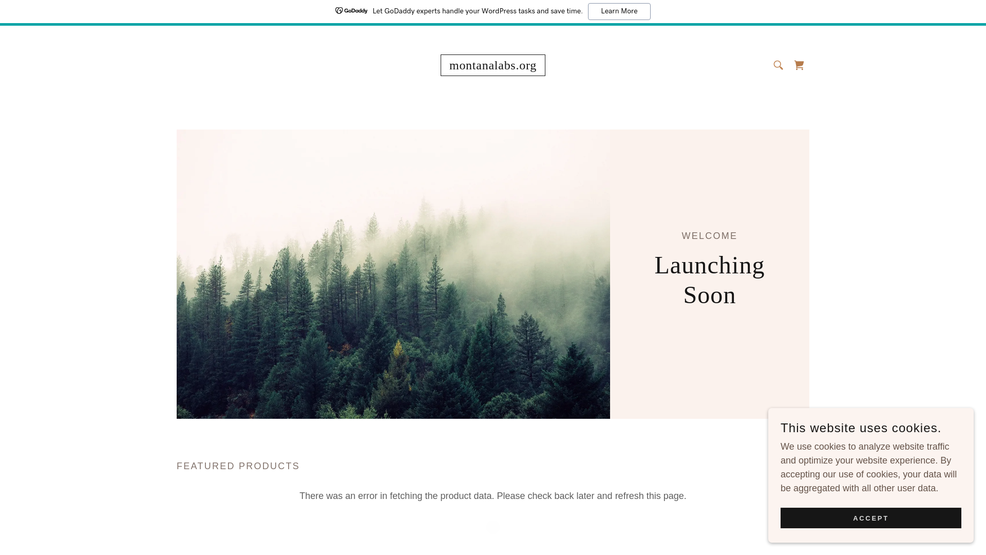 website screenshot of https://montanalabs.org/