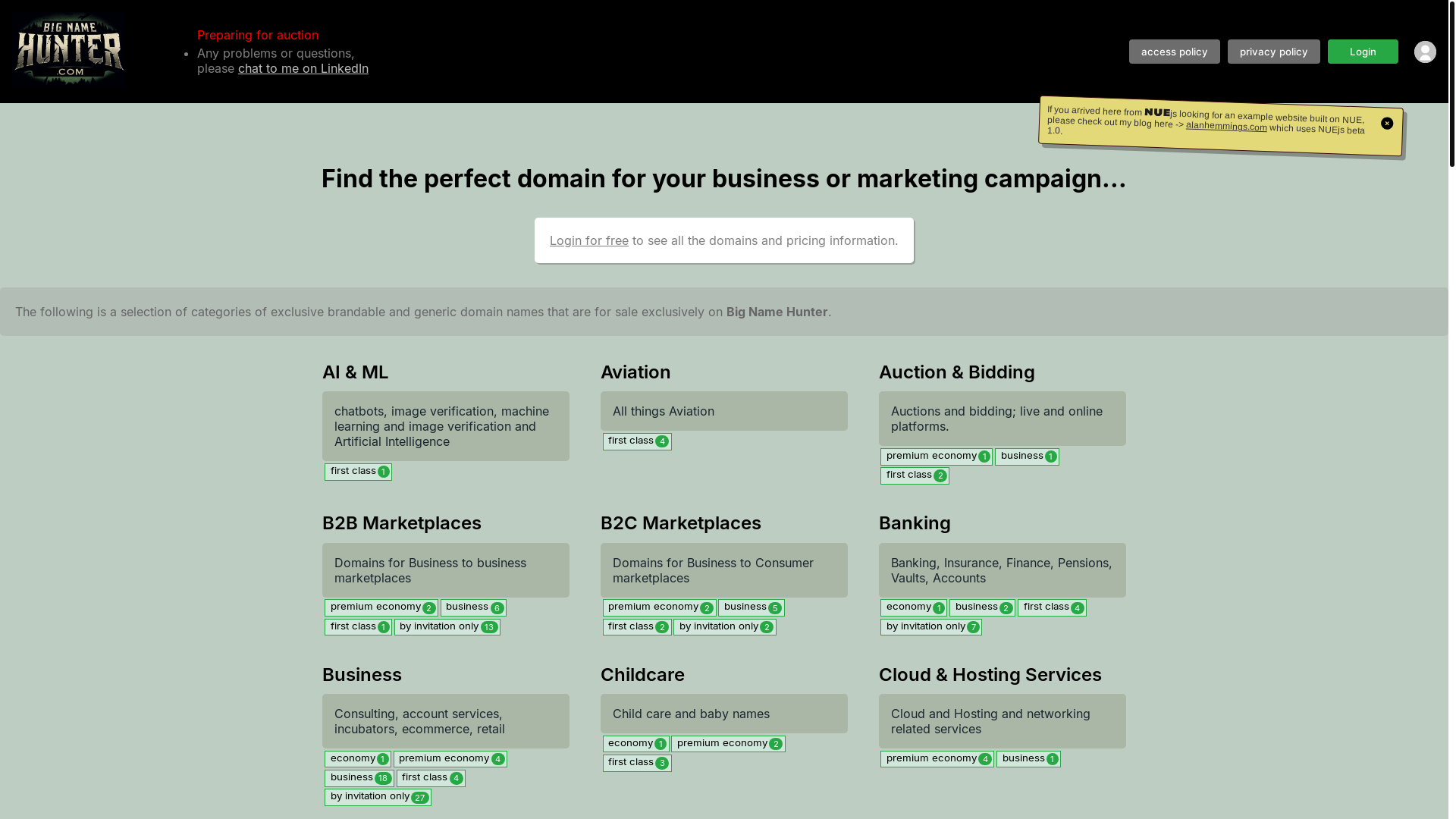 website screenshot of https://bignamehunter.pages.dev/