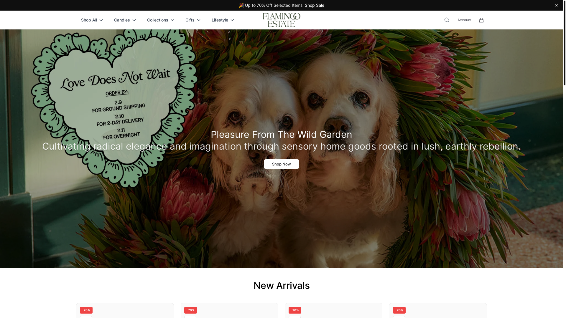 website screenshot of https://flamingogoods.shop/