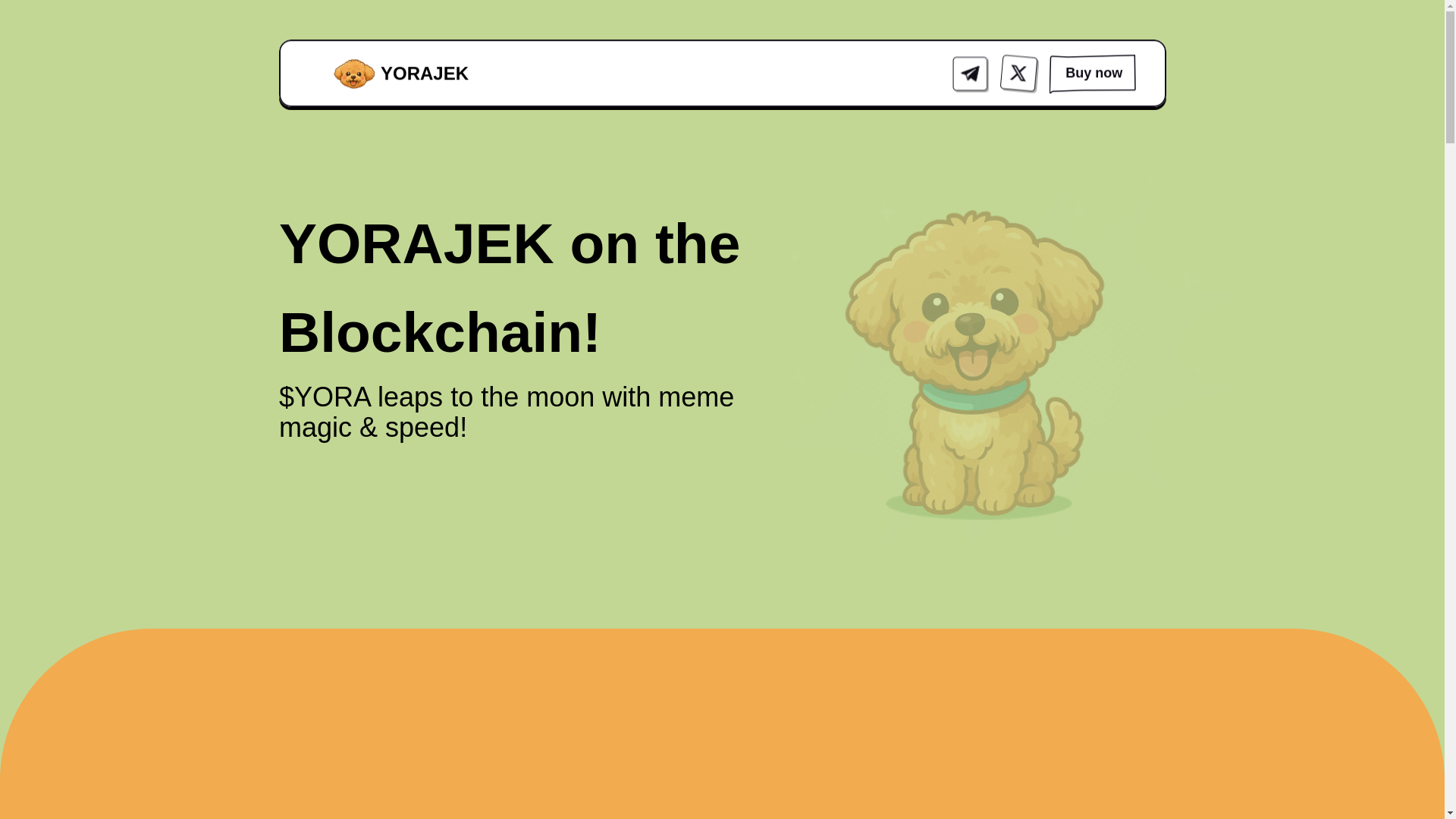 website screenshot of https://yorajek.com/