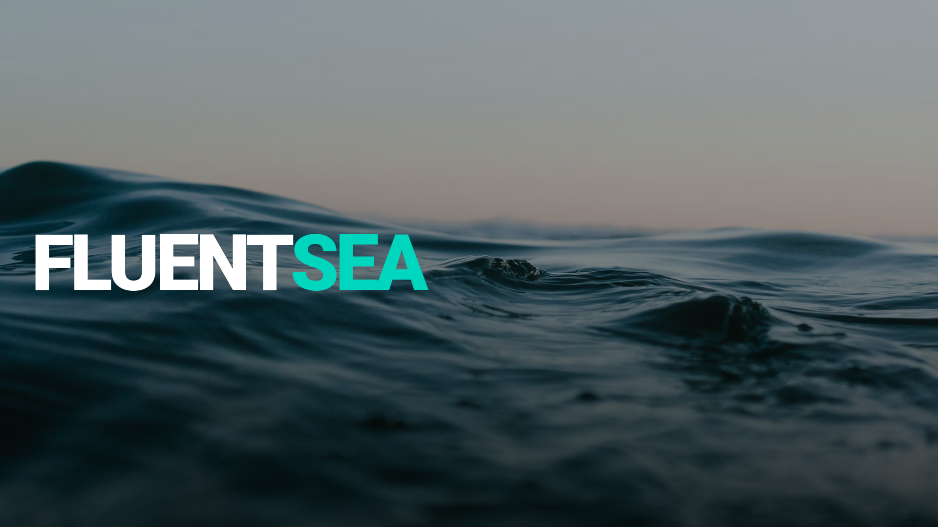 website screenshot of https://fluentsea.co