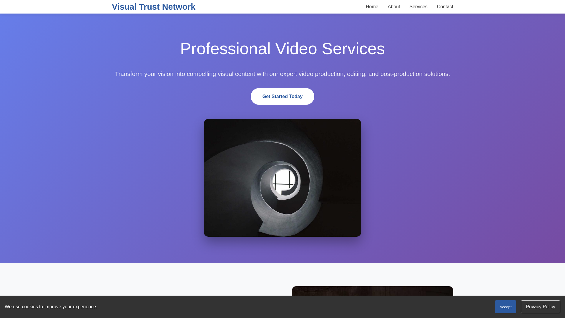 website screenshot of https://visualtrustnetwork.xyz/