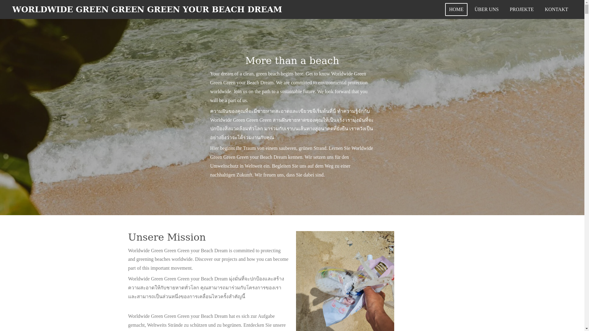 website screenshot of https://wwg-pickandclean-yourbeachdream.com/
