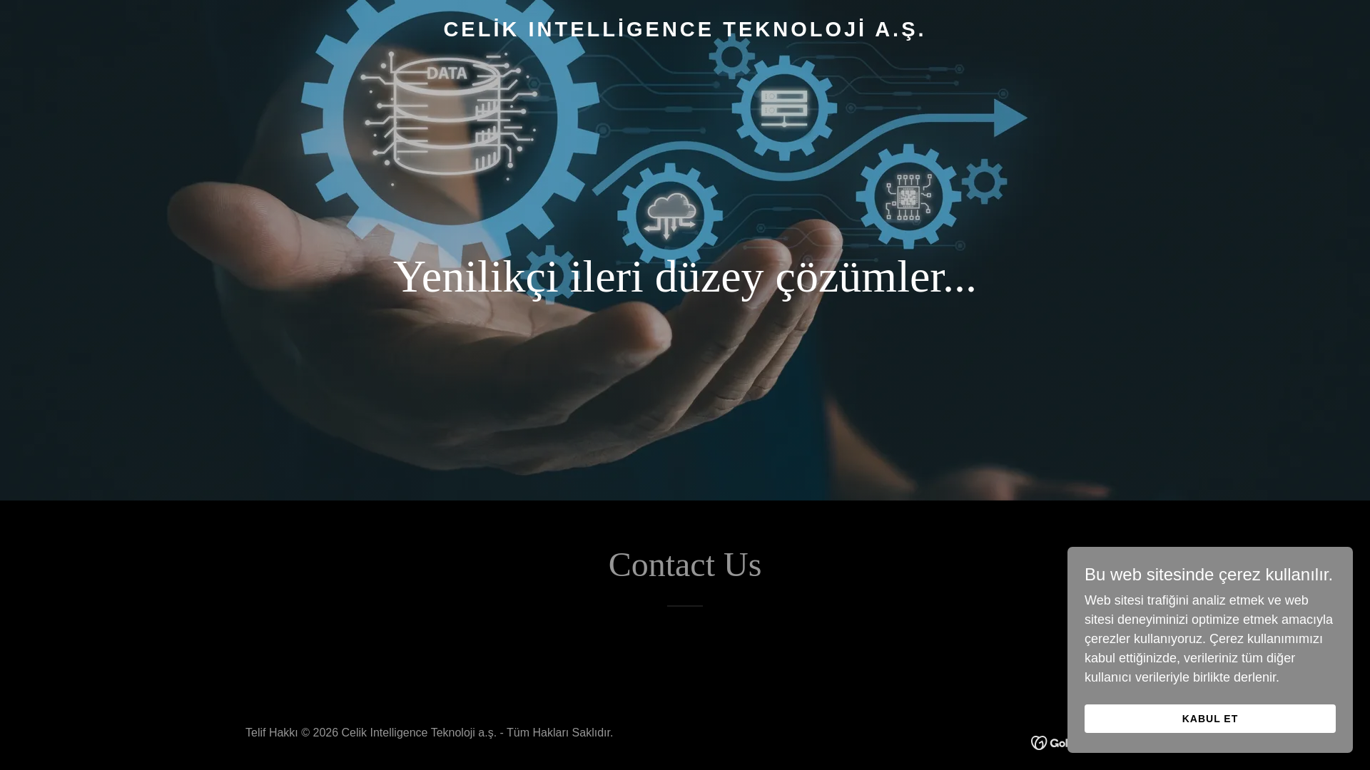 website screenshot of https://celikintelligence.com