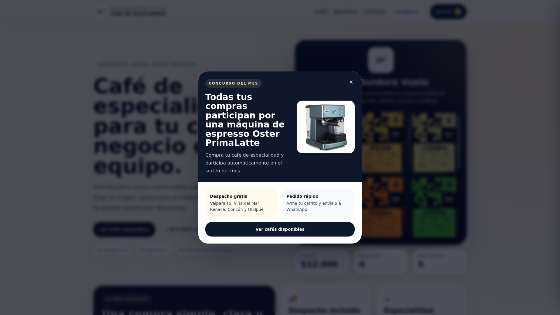 website screenshot of https://vuelodistribuidora.cl/