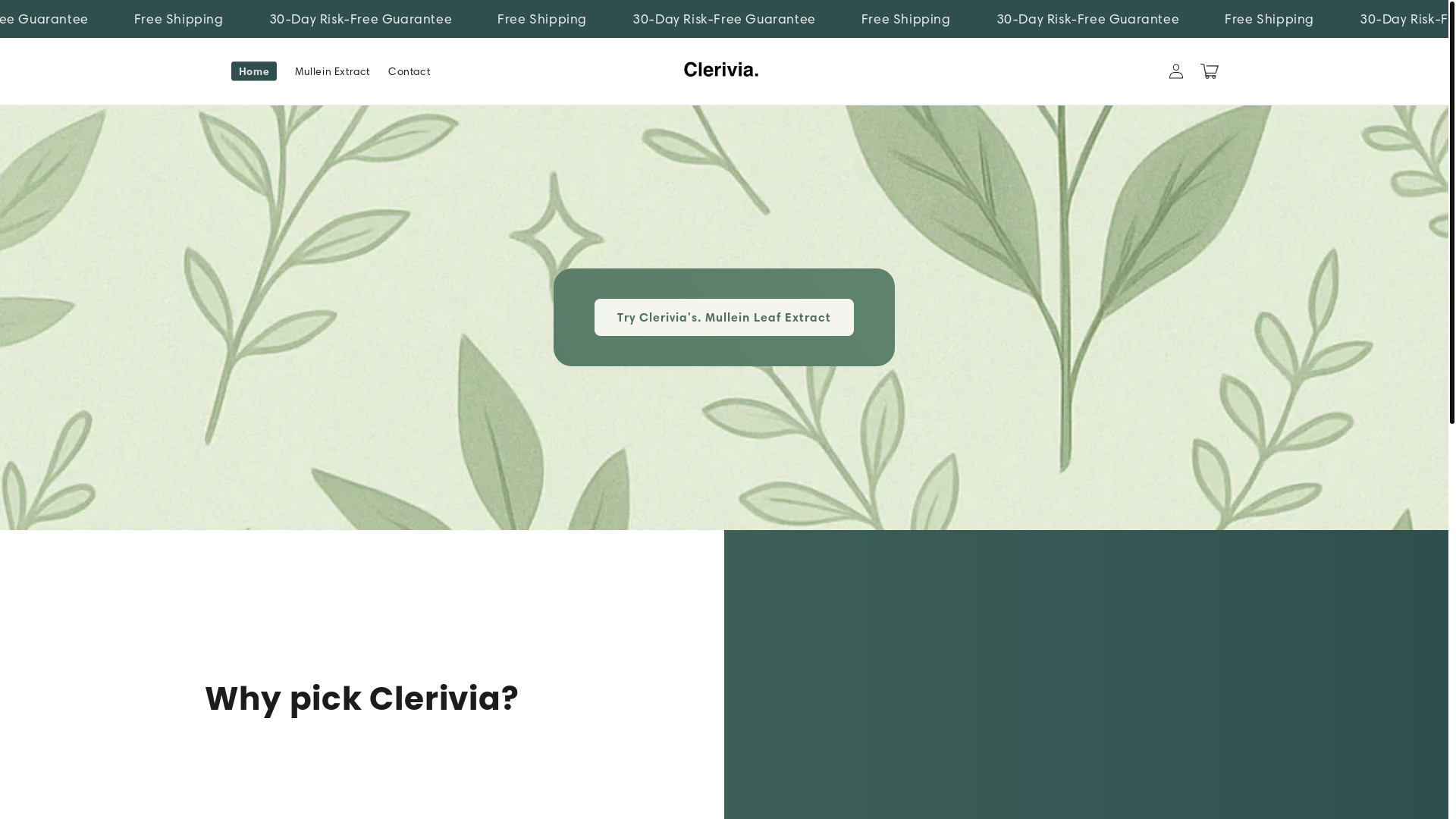 website screenshot of https://cleravox.com/