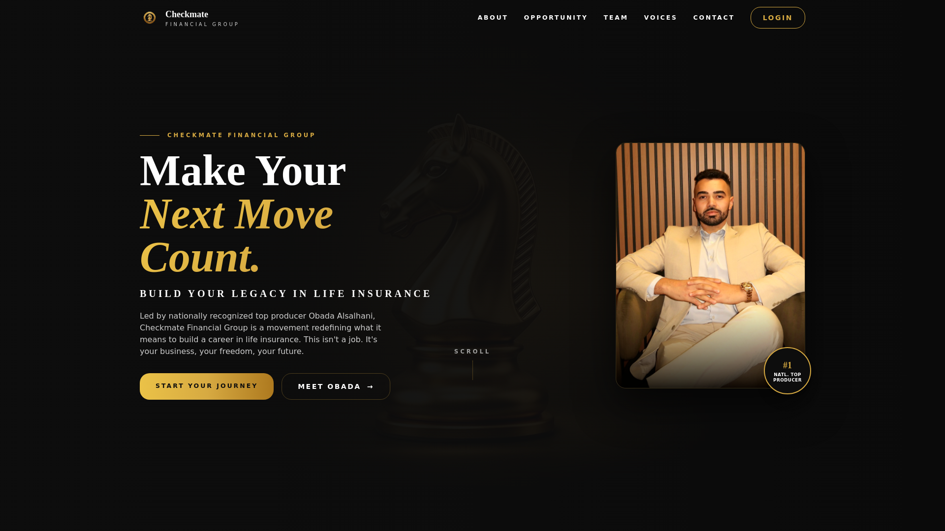 website screenshot of https://checkmateteam.site/