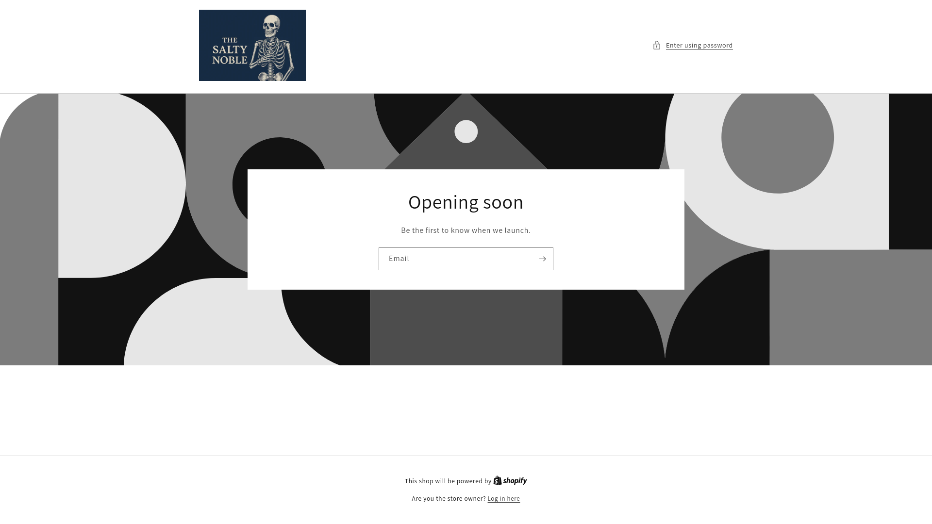 website screenshot of https://thesaltynoble.com/
