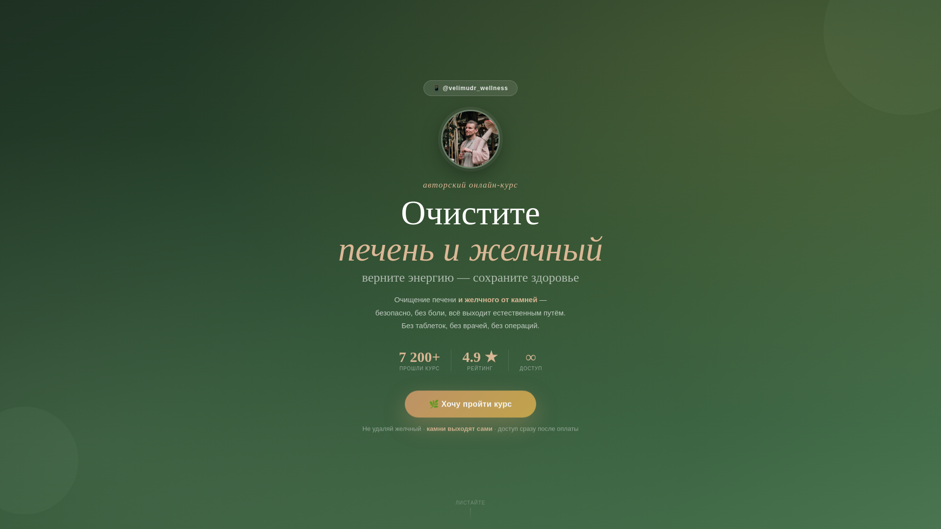 website screenshot of https://velimudr.store/