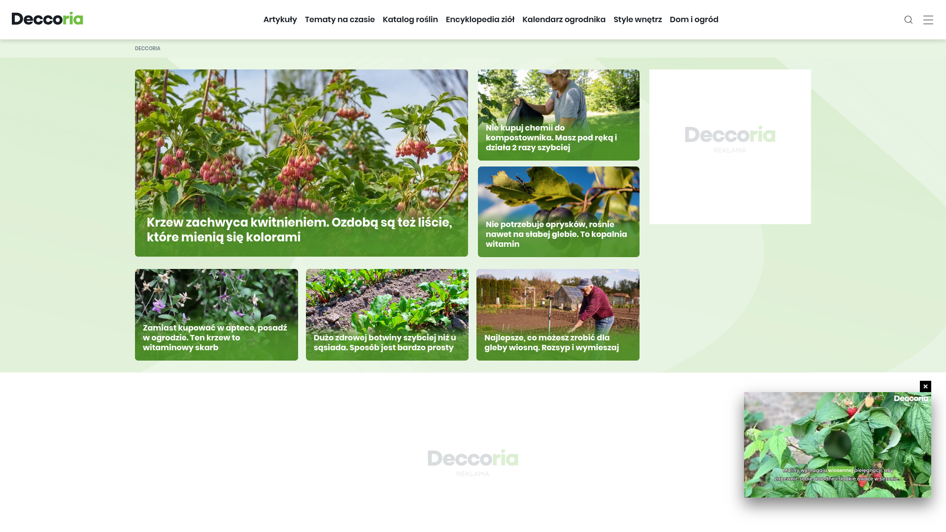 website screenshot of https://deccoria.pl