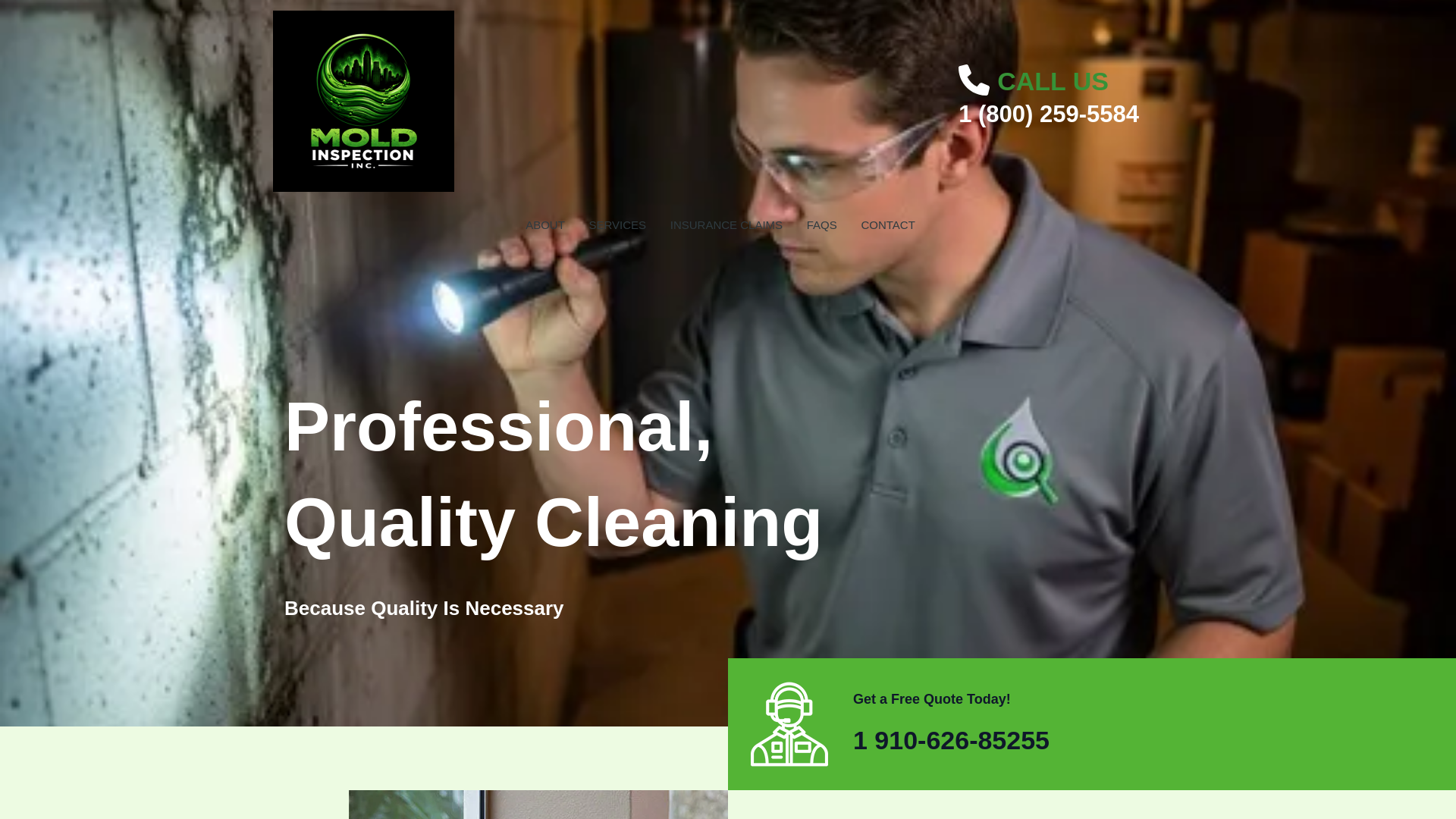 website screenshot of https://moldinspectioninc.com