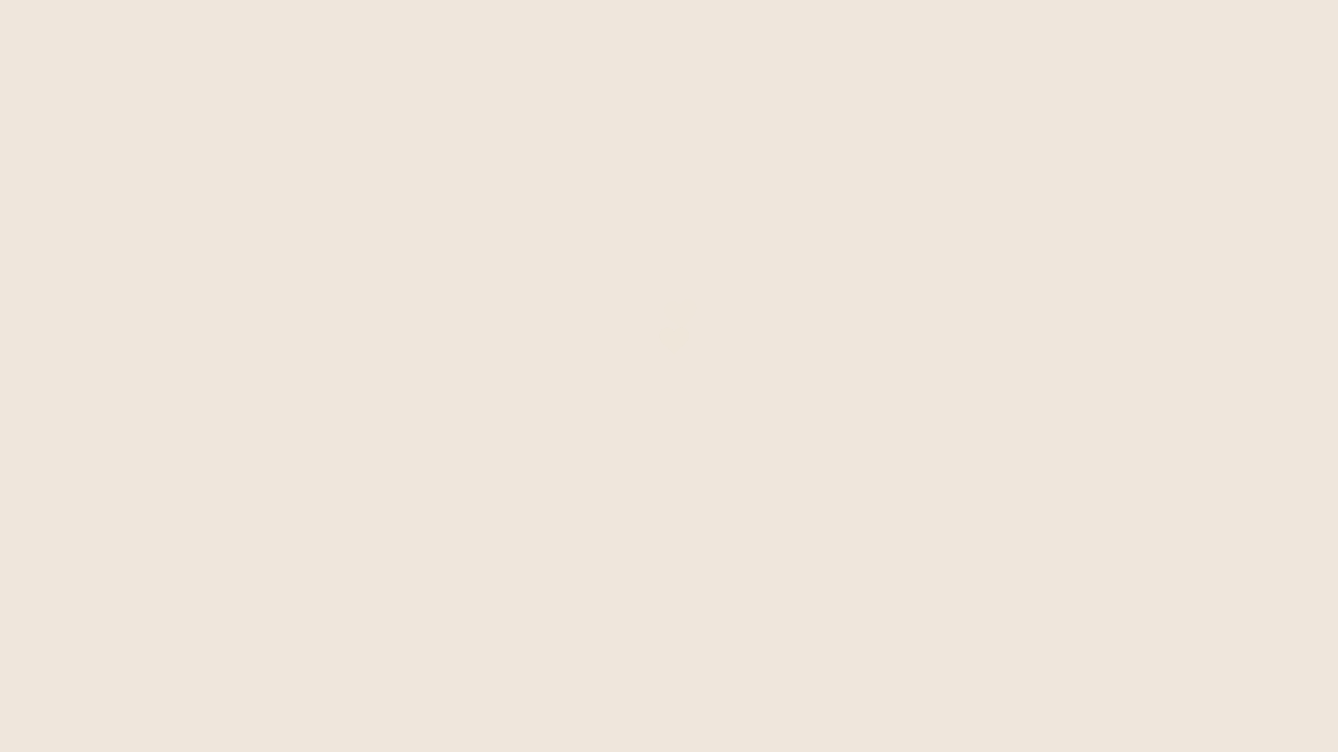 website screenshot of https://camilaeantonio2025.com.br/