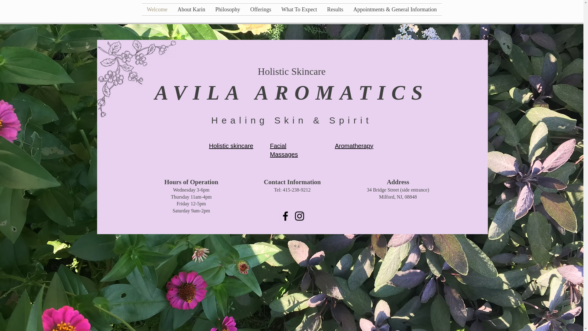website screenshot of https://avilaskinandspirit.com/