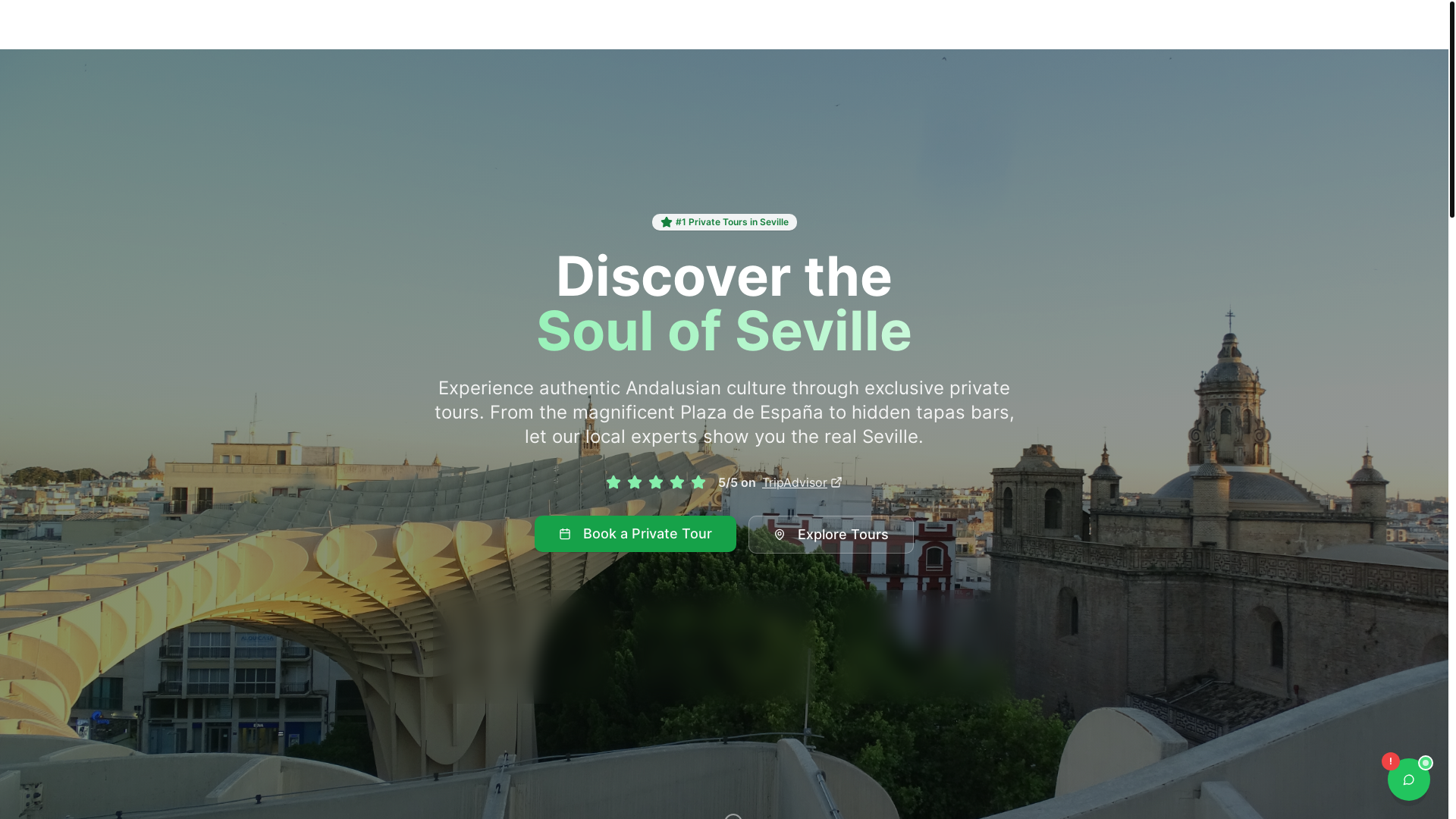 website screenshot of https://privatetoursevilla.es/