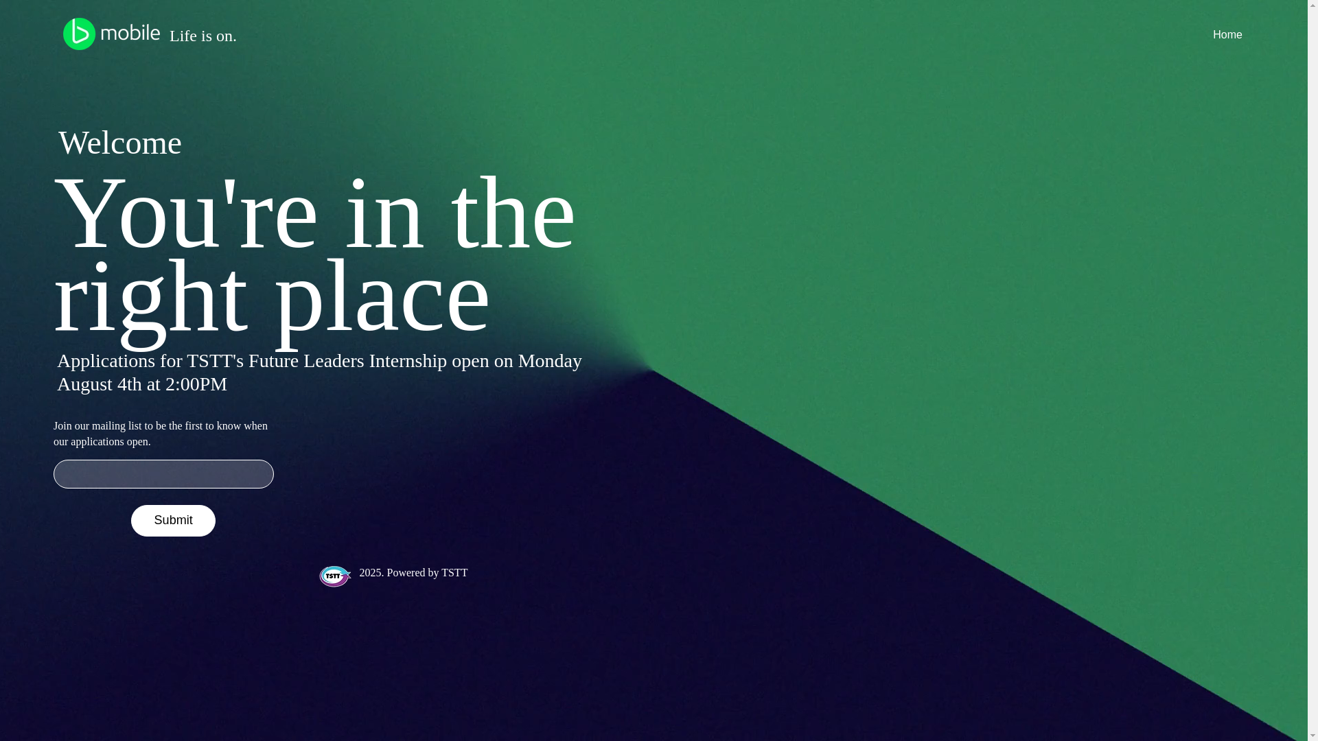 website screenshot of https://tsttinternship.com/