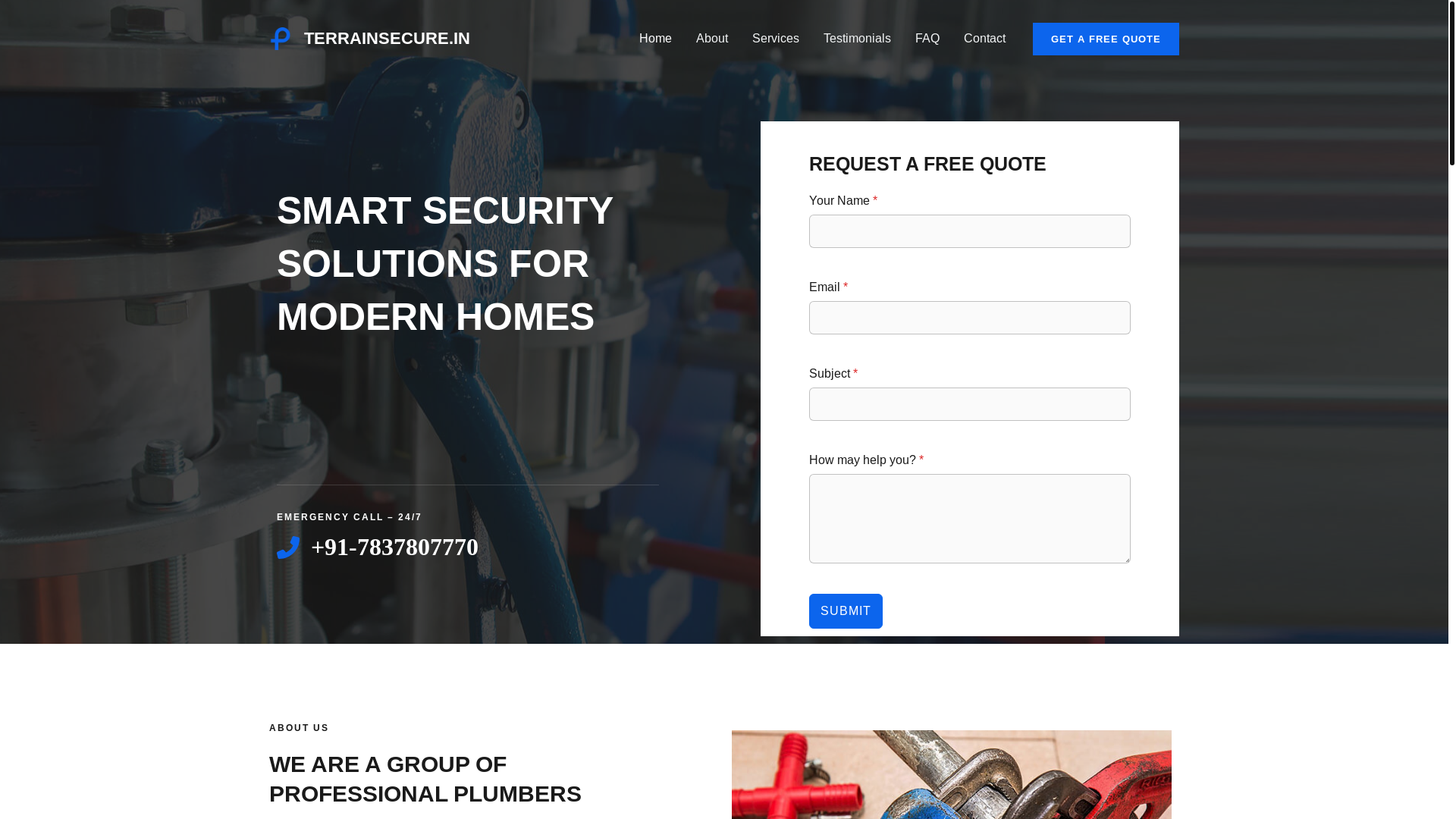 website screenshot of https://terrainsecure.in/