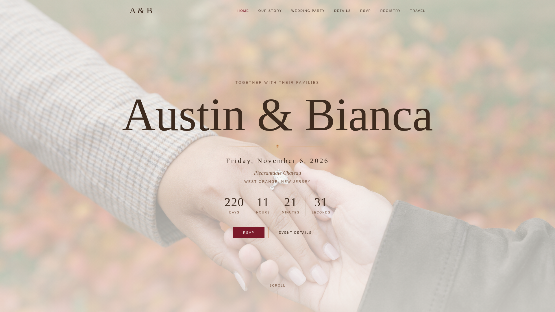 website screenshot of https://austinandbianca.com