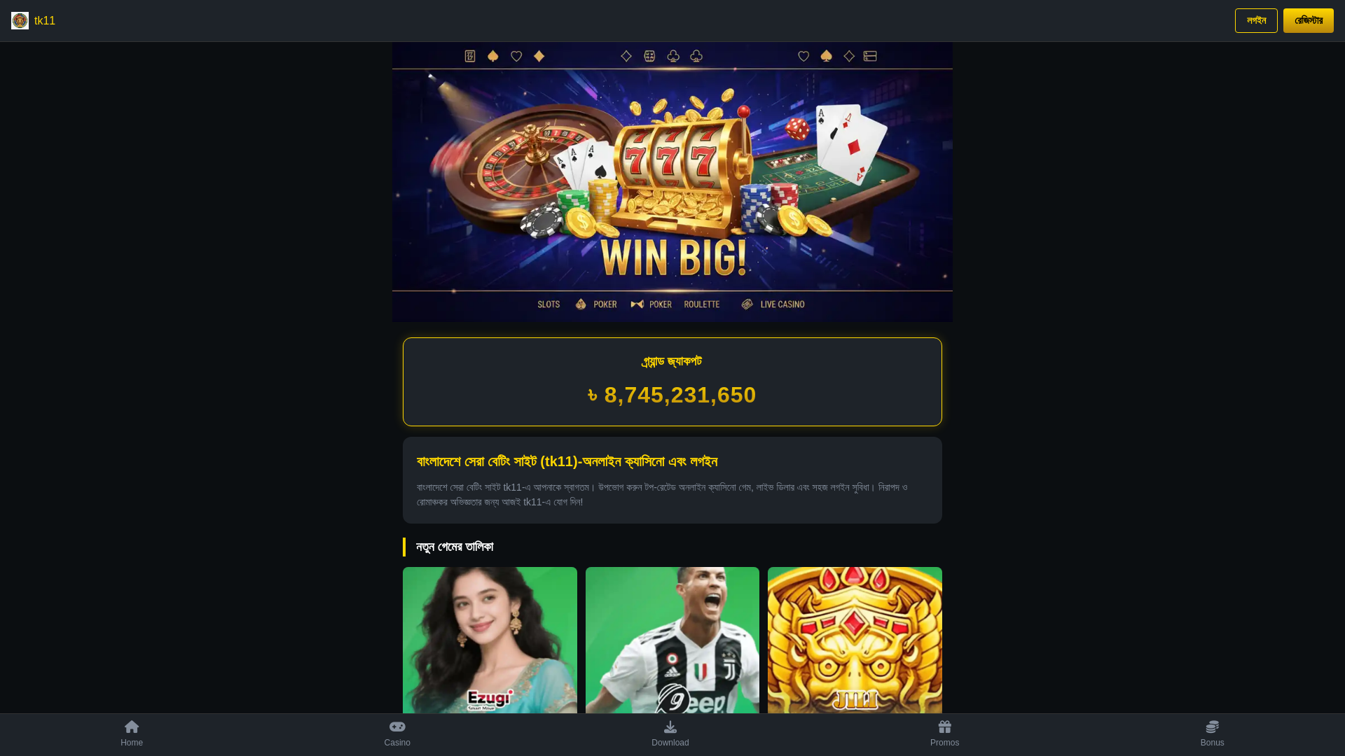 website screenshot of https://webtk11.net