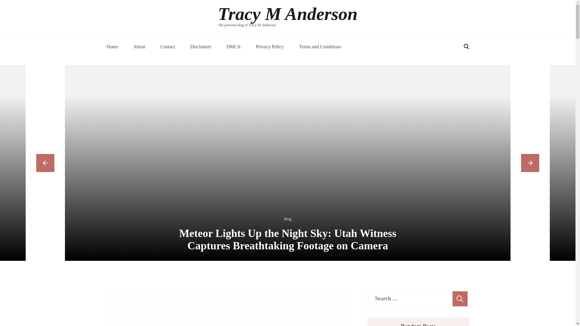 website screenshot of https://tracymandersons.pages.dev/