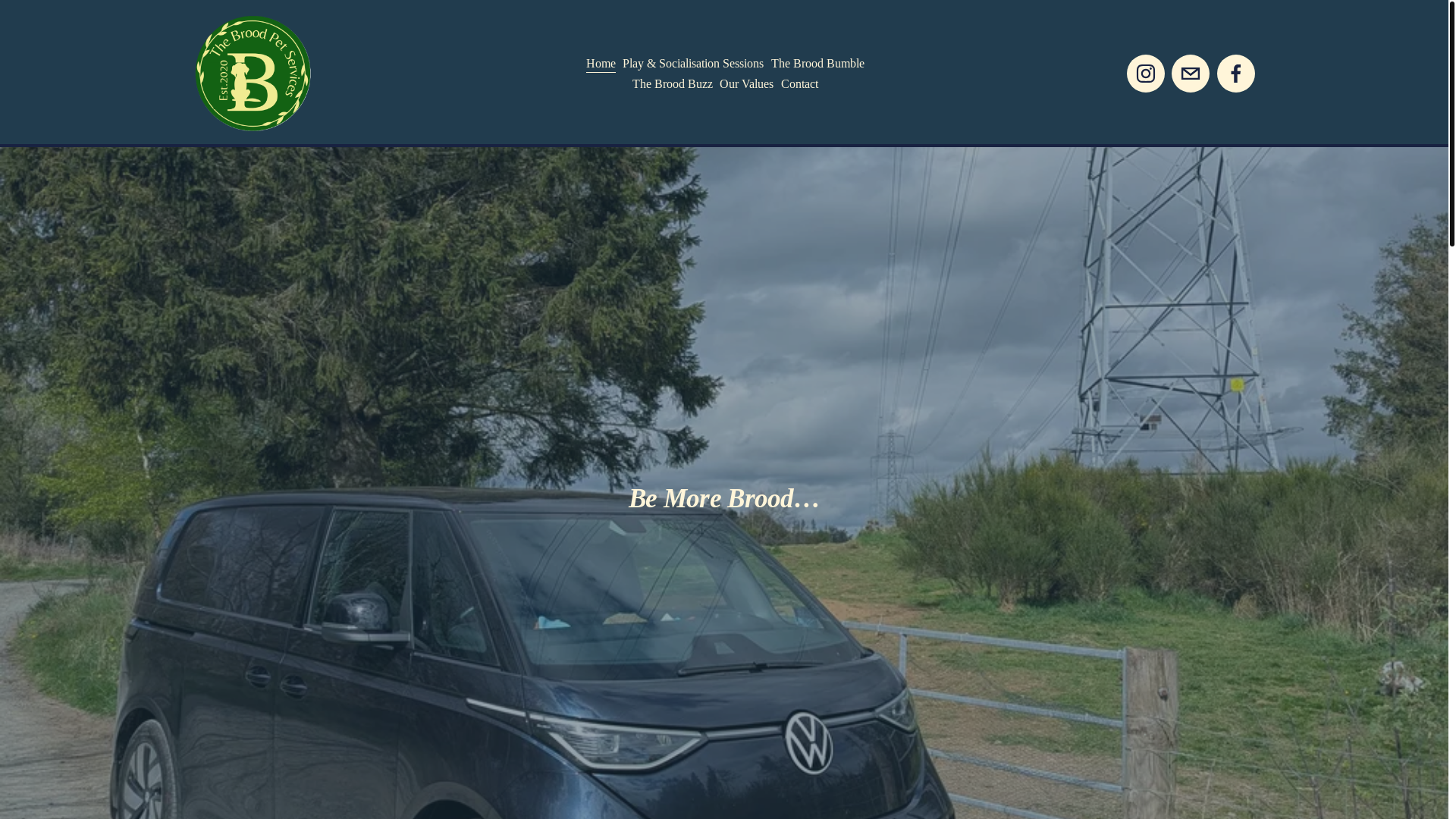 website screenshot of https://thebroodpetservices.co.uk/