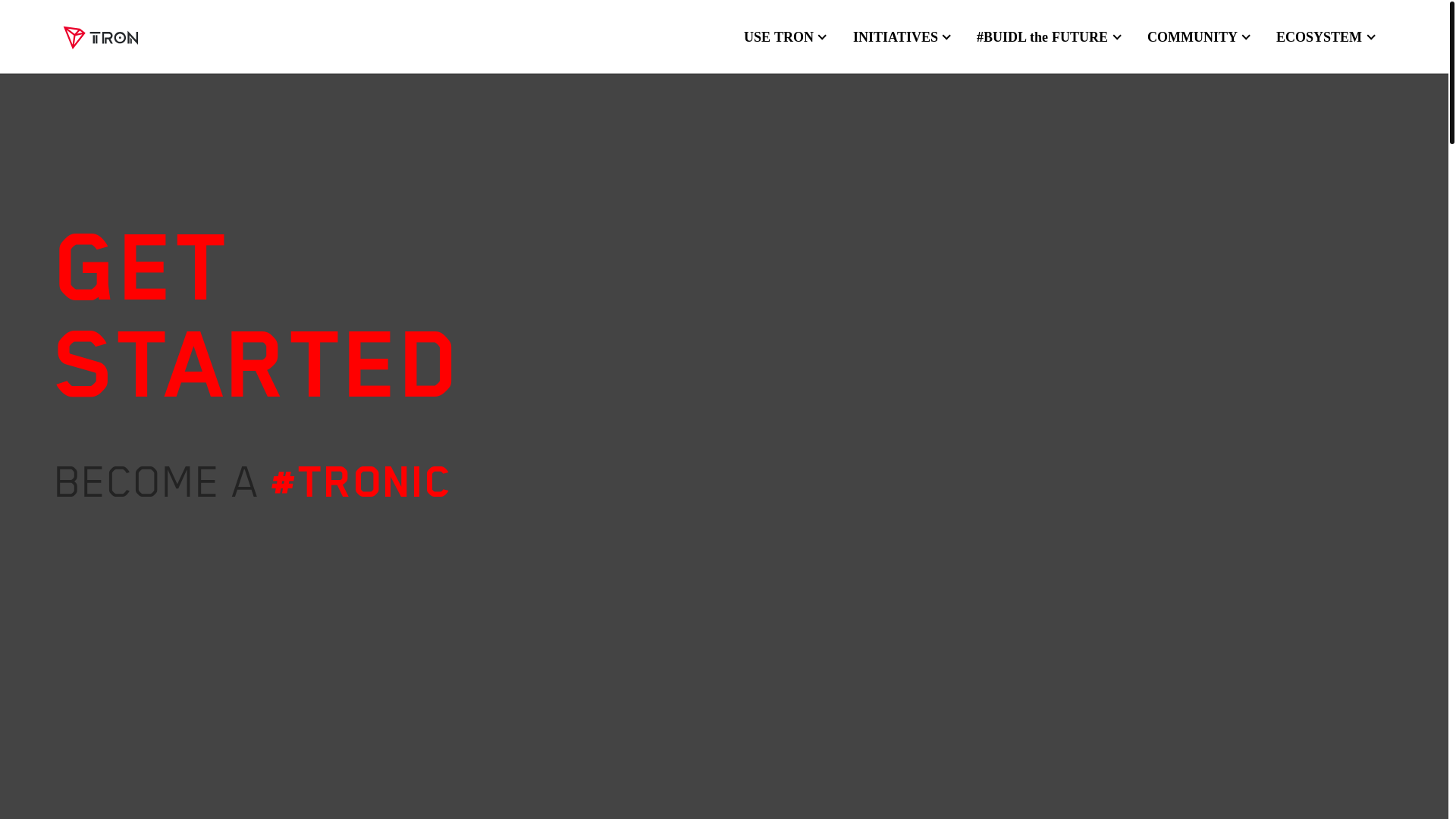 website screenshot of https://trondao.org/resources/get-started/