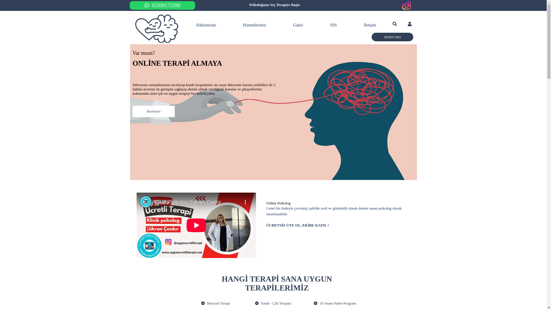 website screenshot of https://terapidestegial.com/
