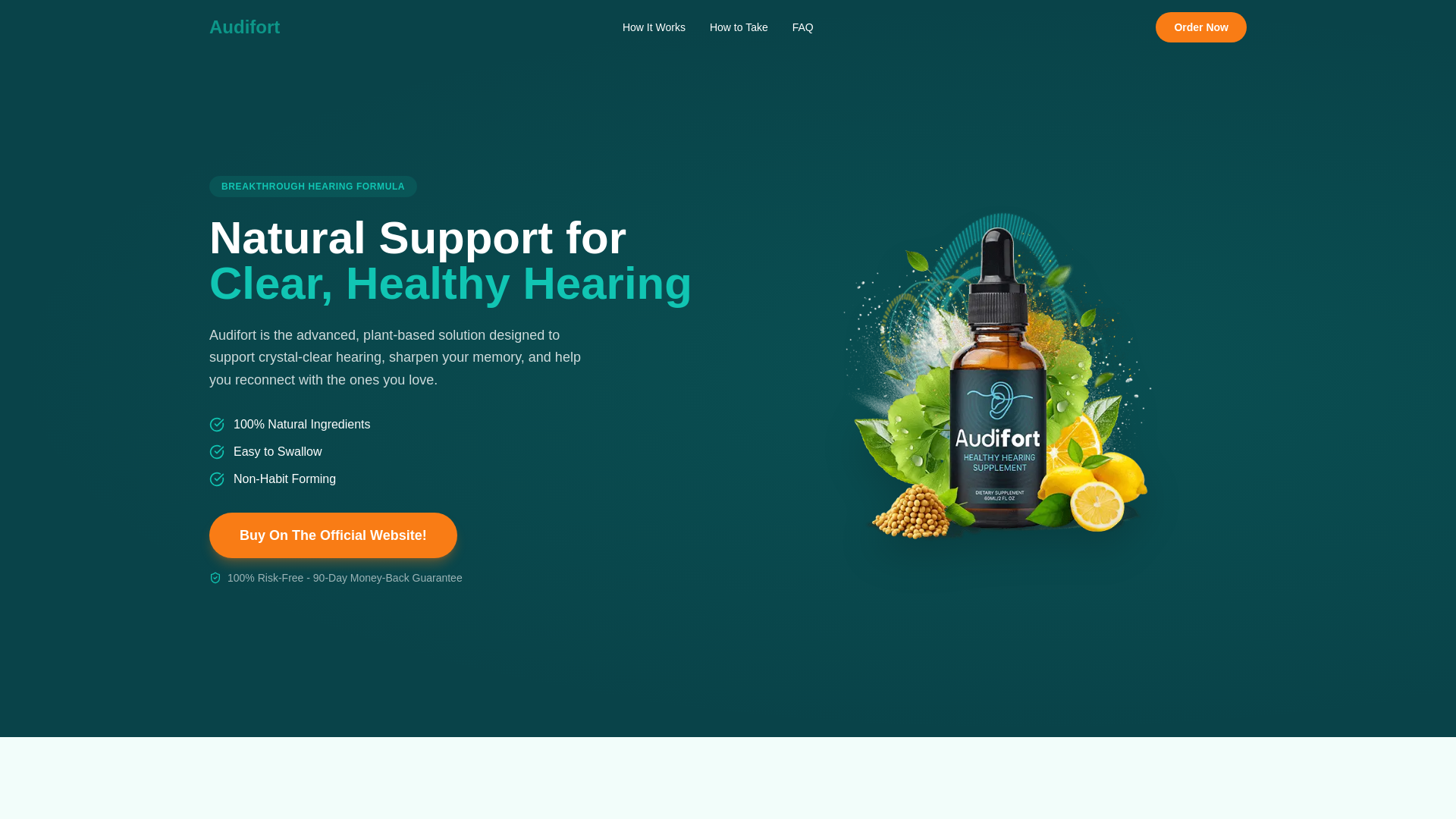 website screenshot of https://buyaudifort.xyz/