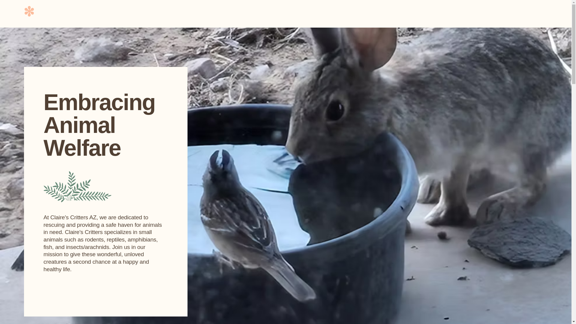 website screenshot of https://clairescrittersaz.org/