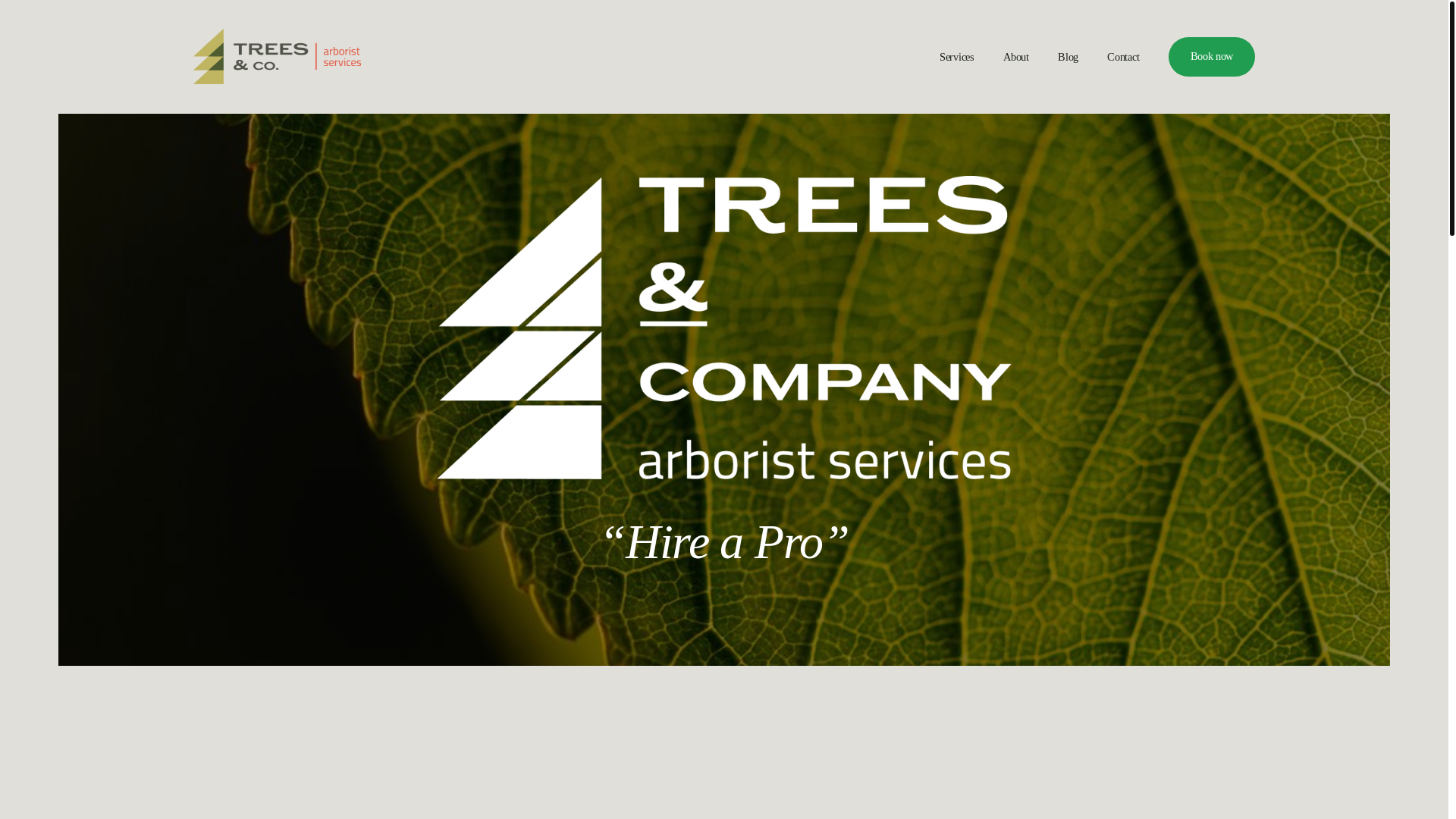 website screenshot of https://treesandco.ca/