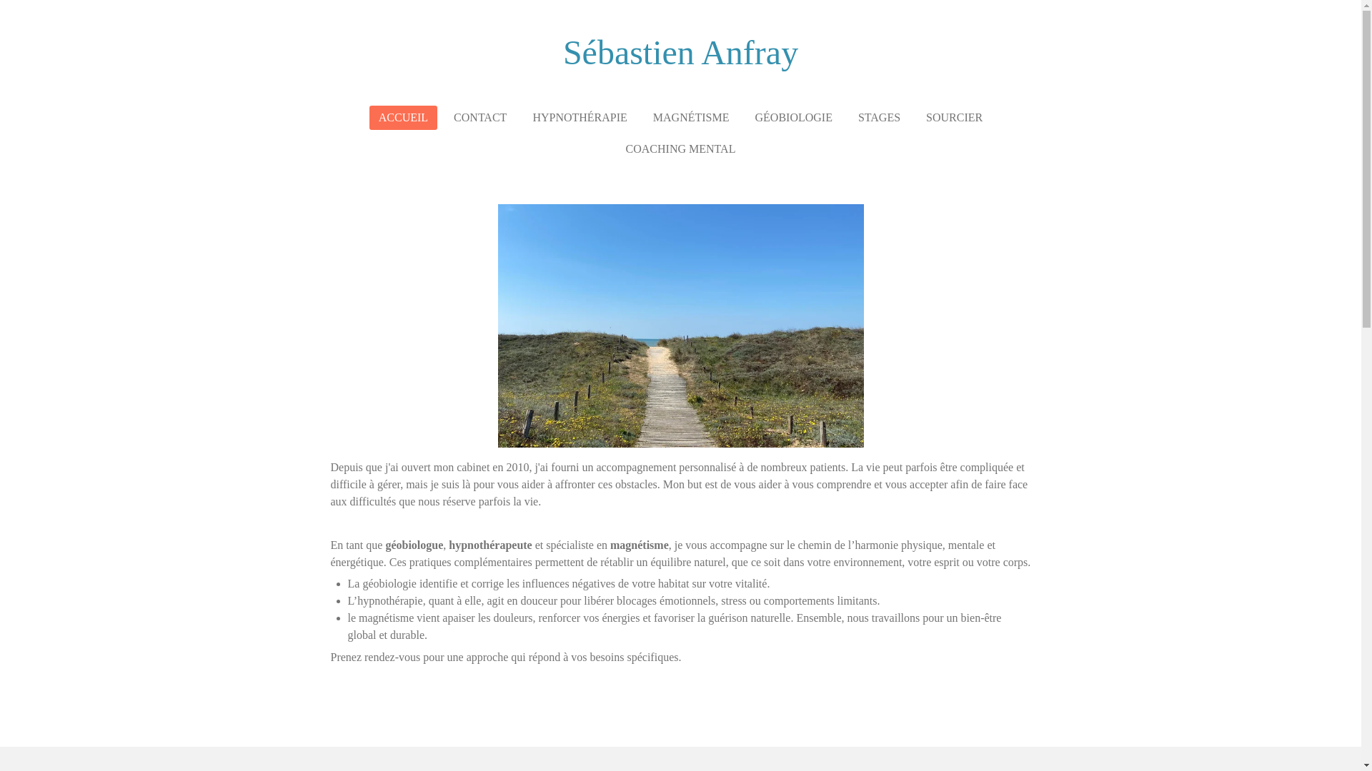 website screenshot of https://sebastienanfray.fr/