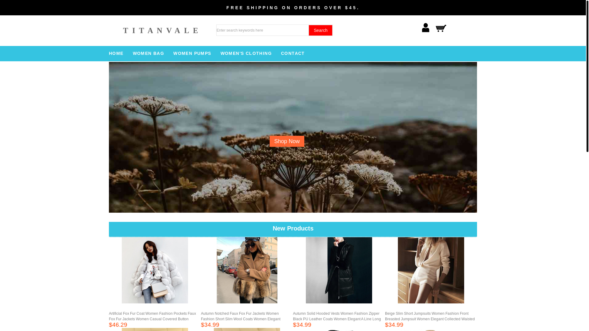 website screenshot of https://titanvale.top/