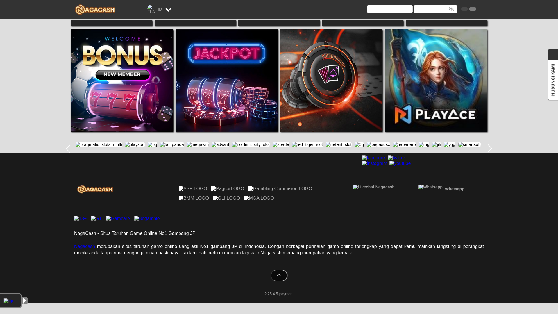 website screenshot of https://nagacash9c.cfd/