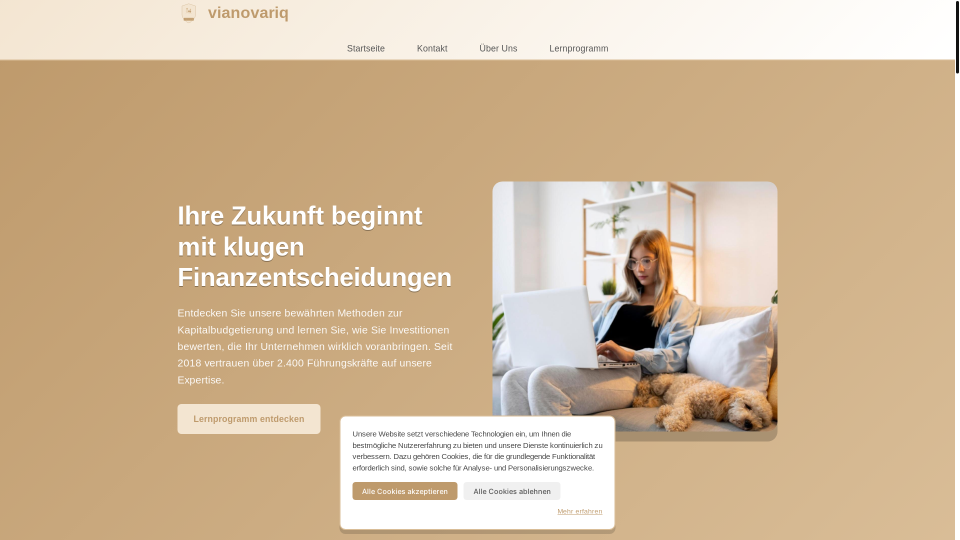 website screenshot of https://vianovariq.com/