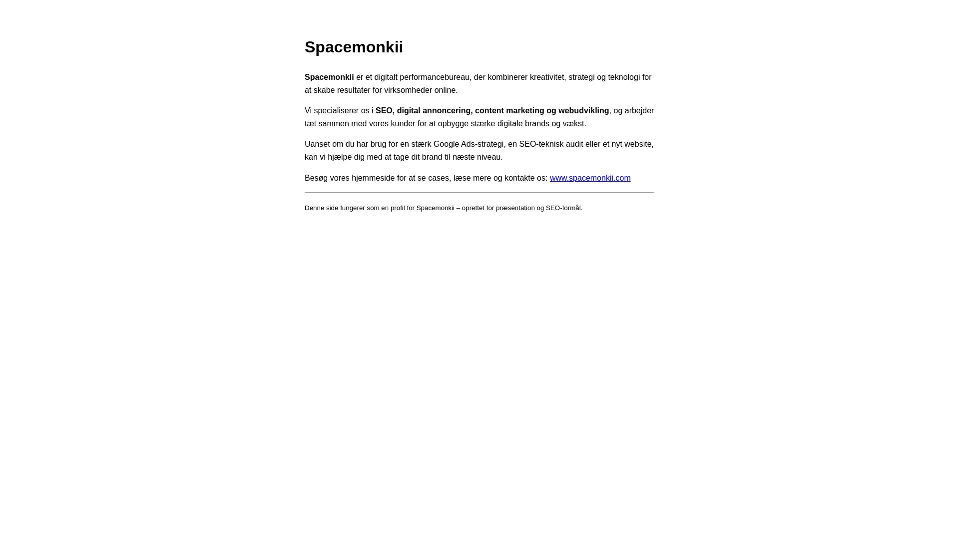 website screenshot of https://spacemonkii.pages.dev/