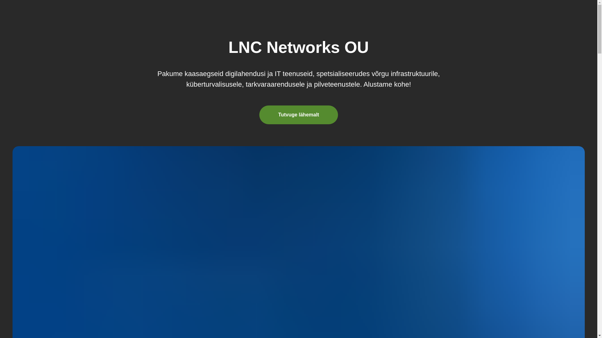 website screenshot of https://lncnetworks.pro/