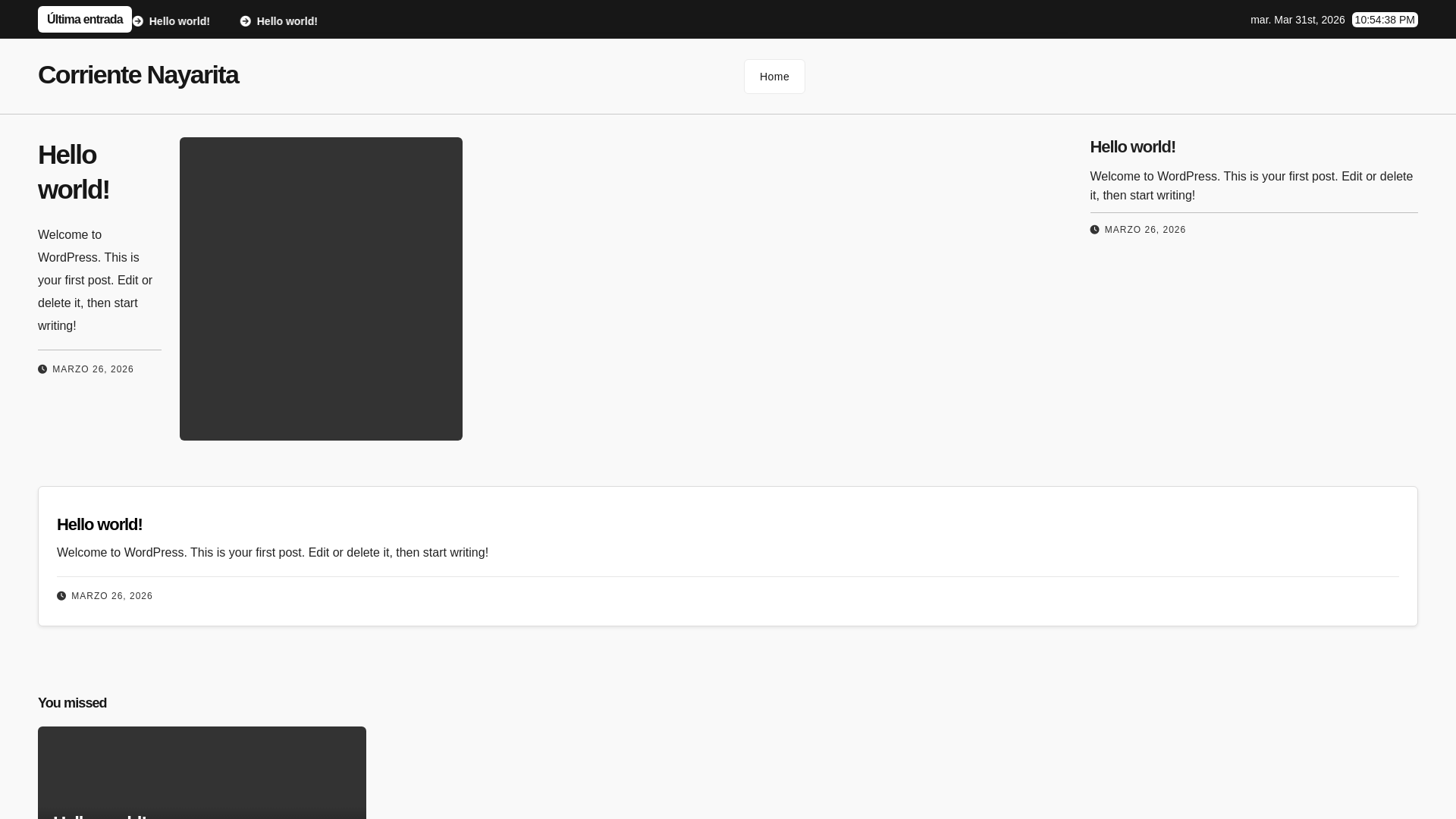 website screenshot of https://corrientenayarita.online