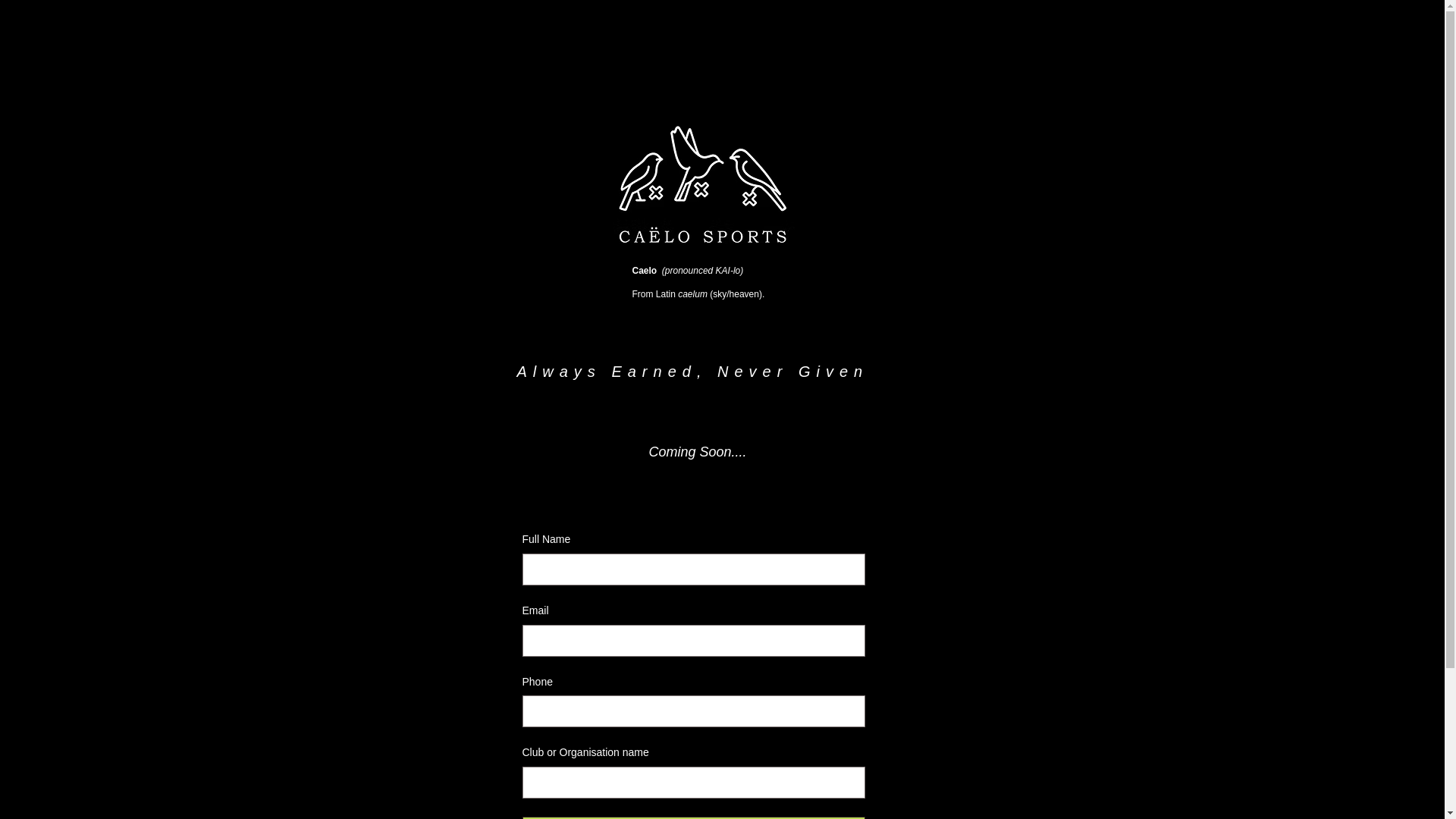 website screenshot of https://caelosports.com/