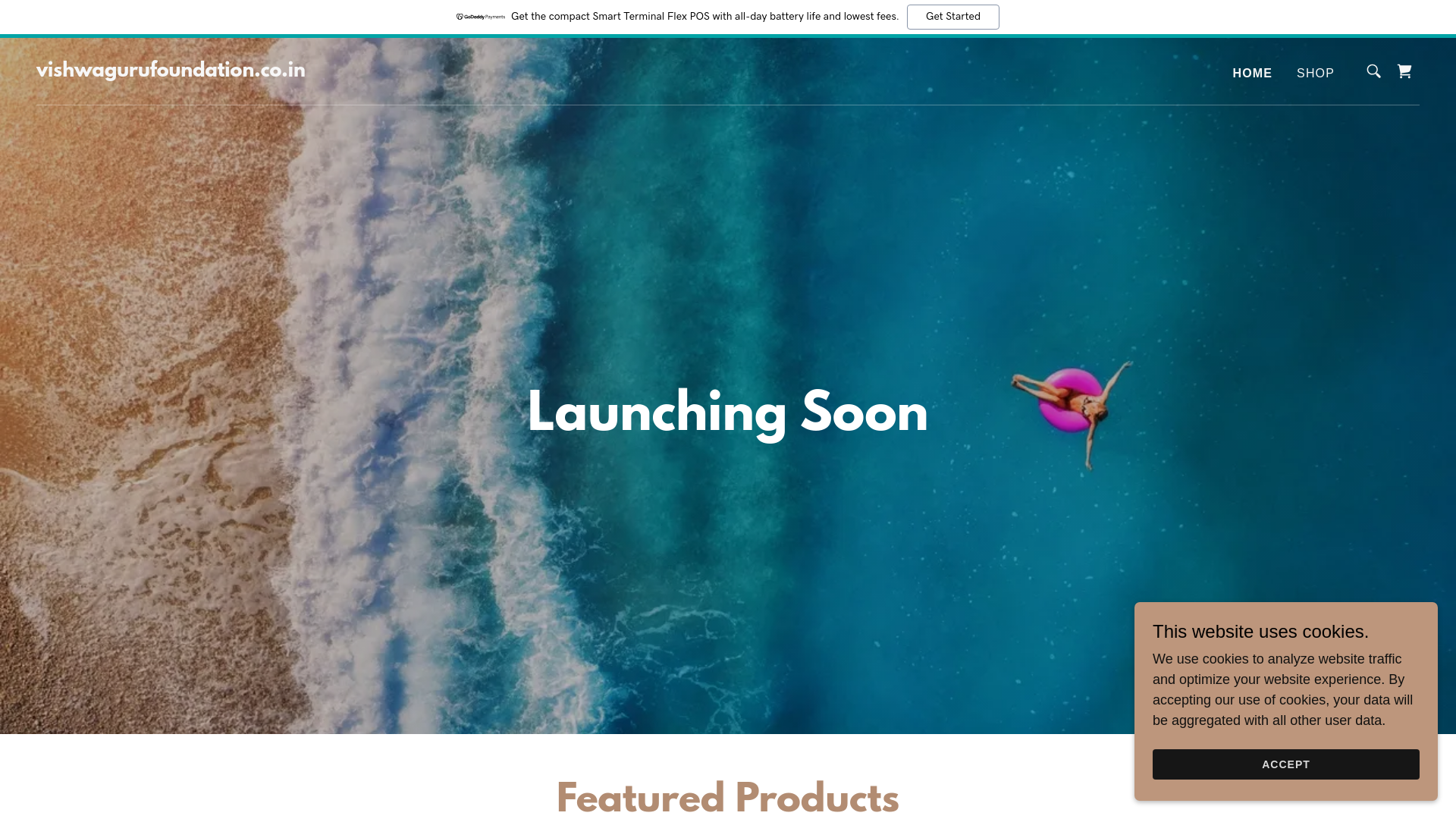 website screenshot of https://vishwagurufoundation.co.in/