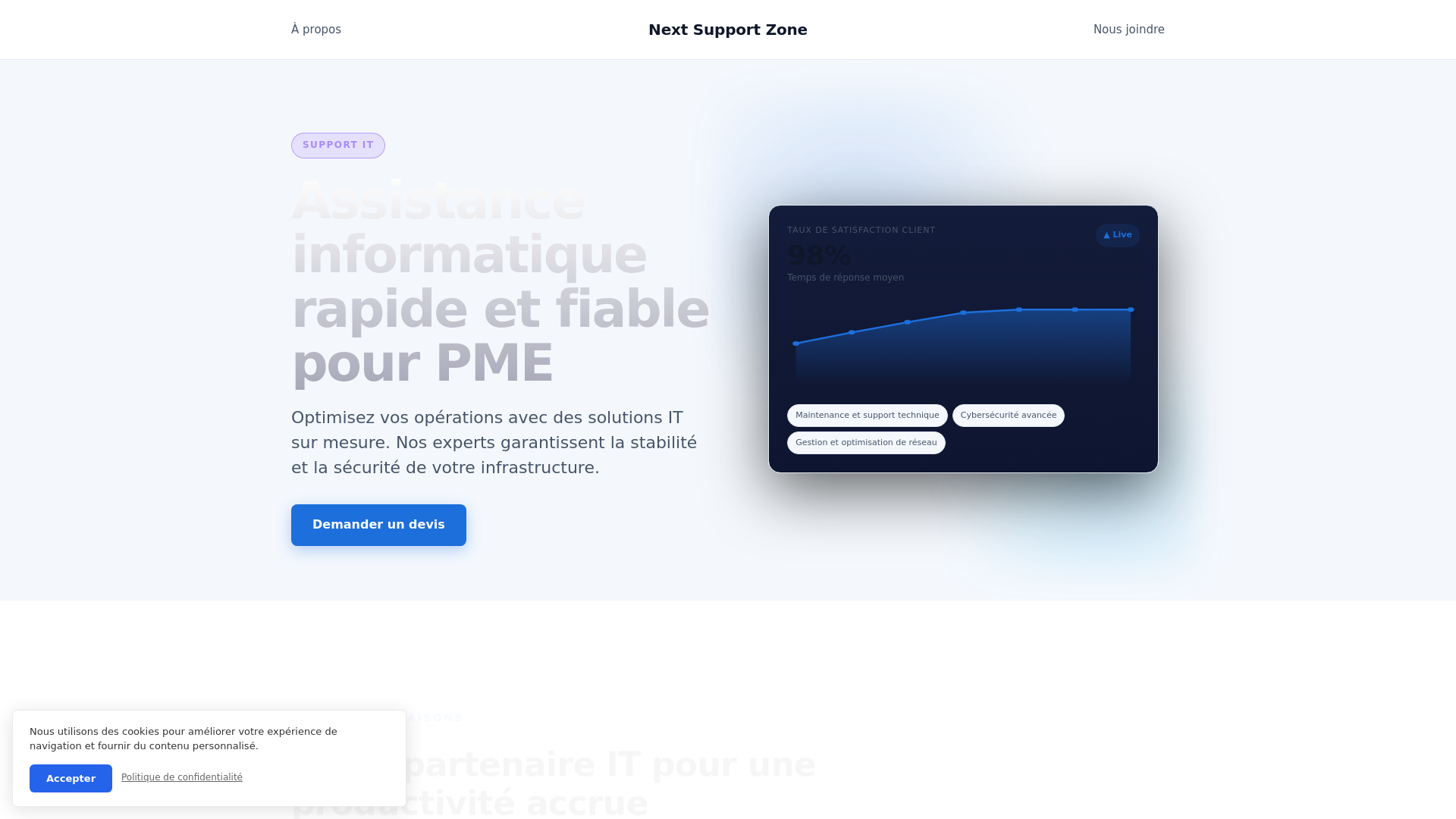 website screenshot of https://nextsupportzone.shop/