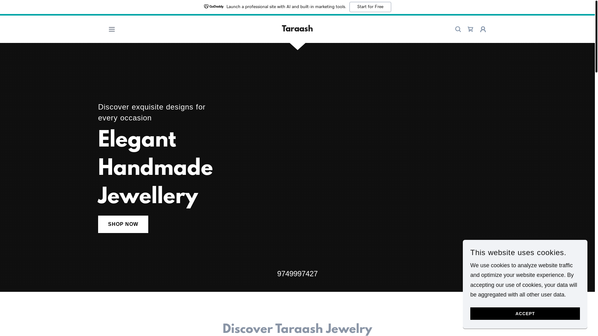 website screenshot of https://taraash.shop/