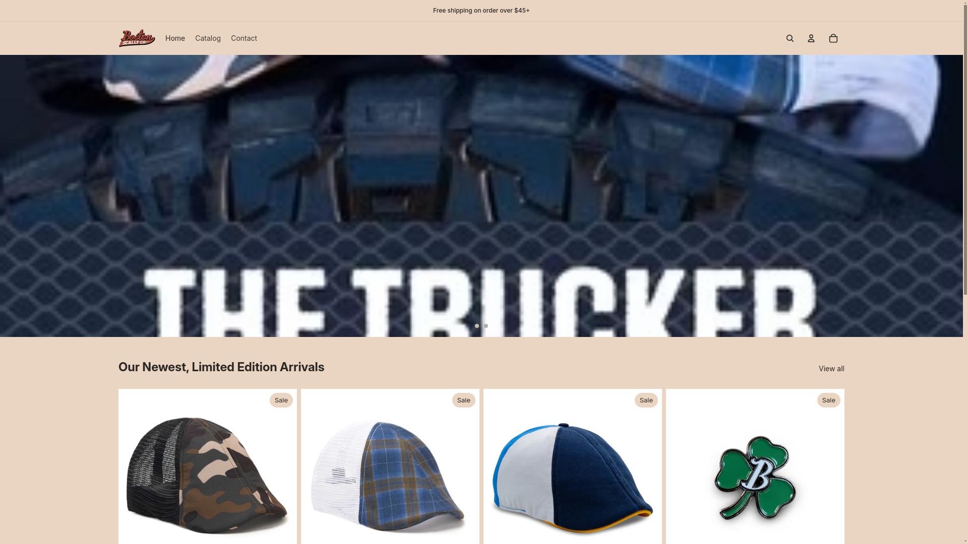 website screenshot of https://bostonscally.store/