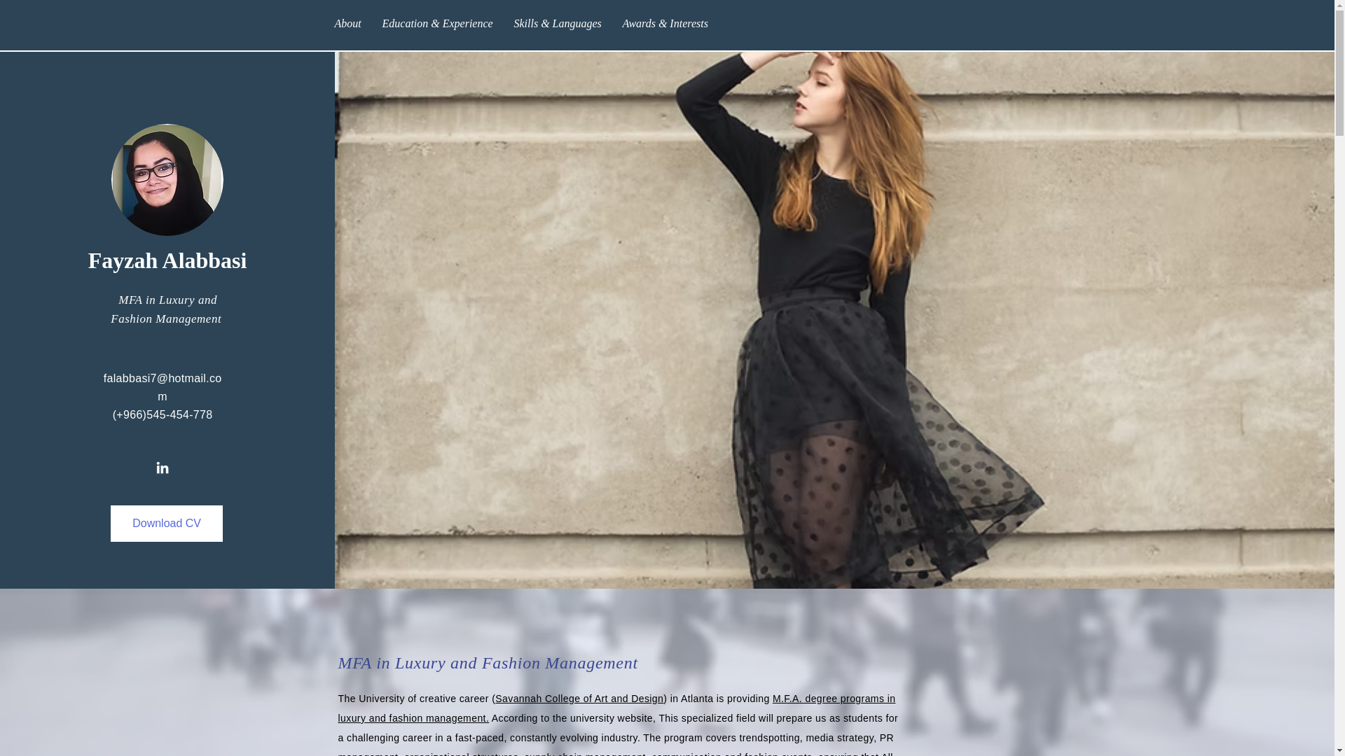 website screenshot of https://falabbasi.com/