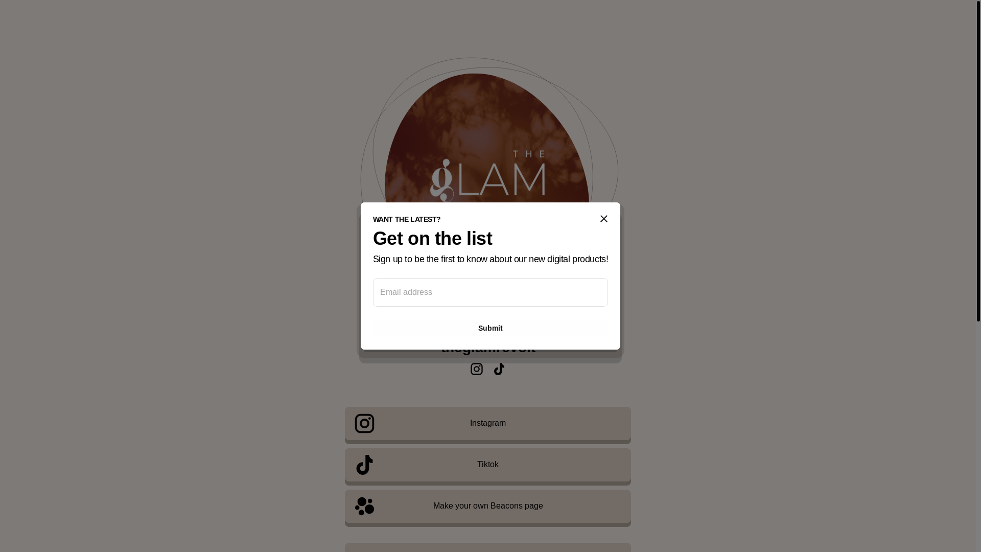 website screenshot of https://theglamrevolt.com/
